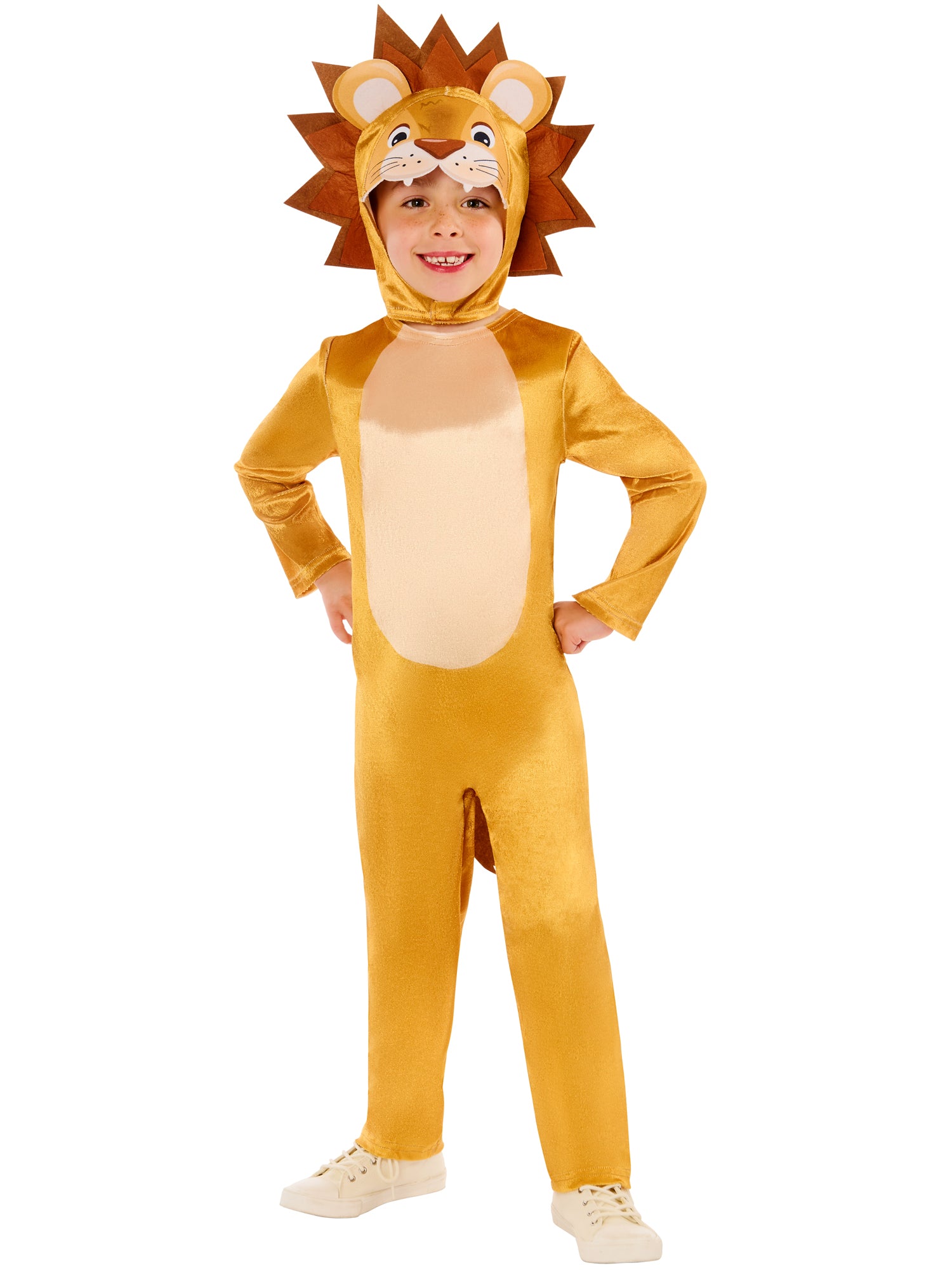 Lion, Generic, Muliticoloured, Forum, Kids Costumes, , Front
