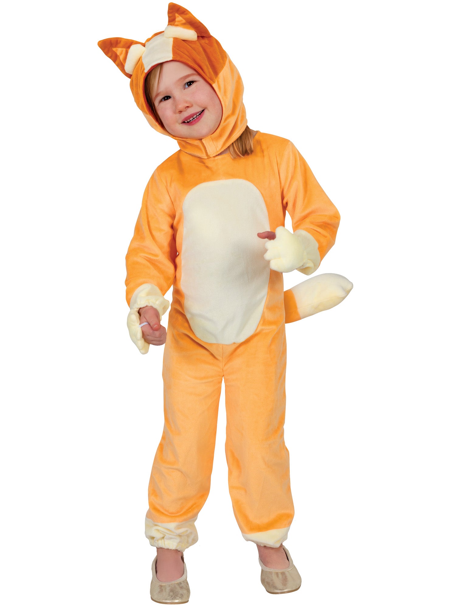 Bingo, Bluey, Muliticoloured, Bingo, Kids Costumes, , Front