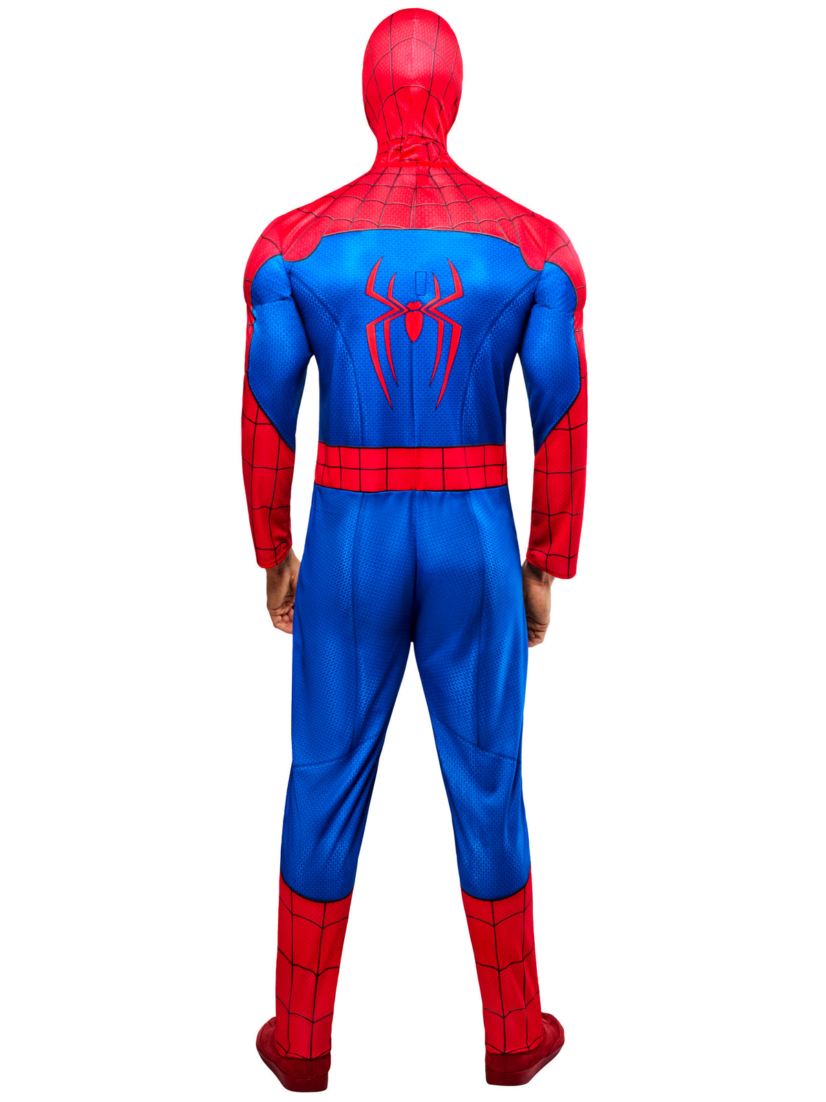 Spider-Man, Marvel, Muliticoloured, , Back