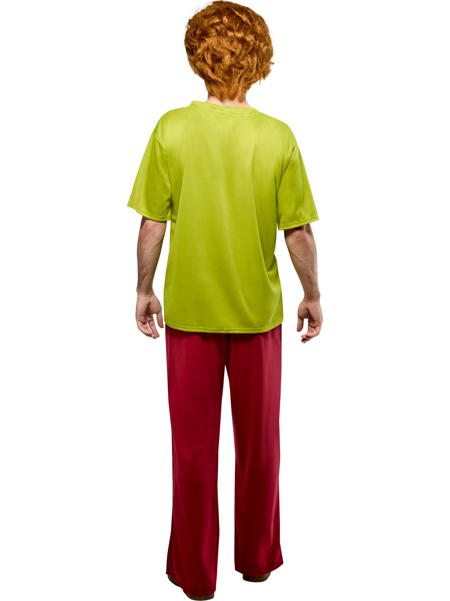 Shaggy, Multi, WB Animation, Adult Costume, Standard, Back