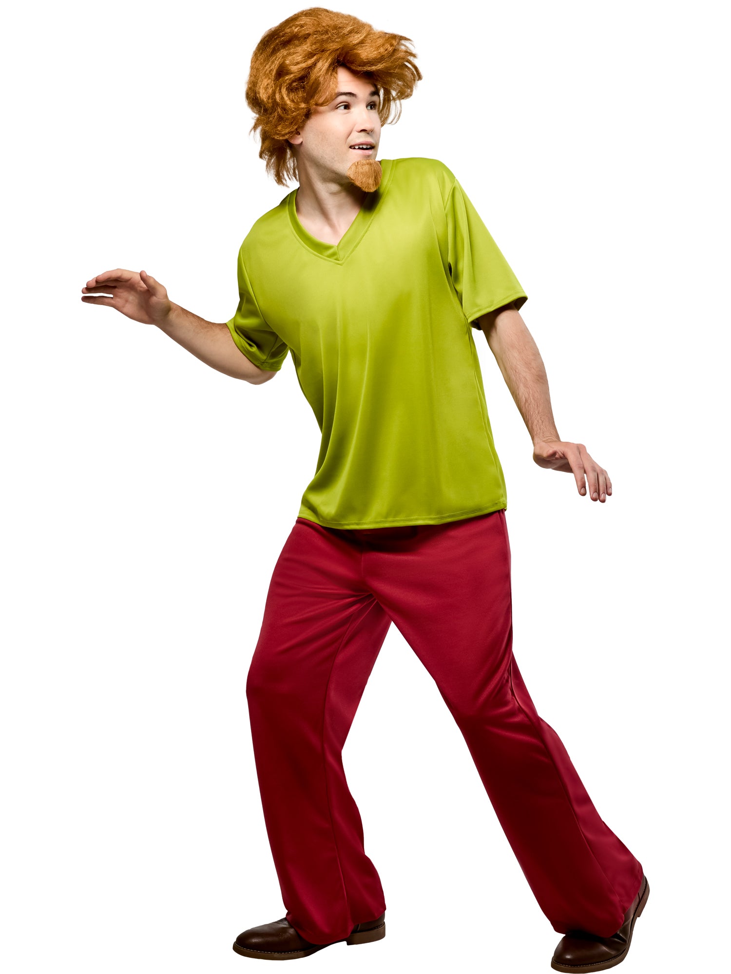 Shaggy, Multi, WB Animation, Adult Costume, Standard, Other