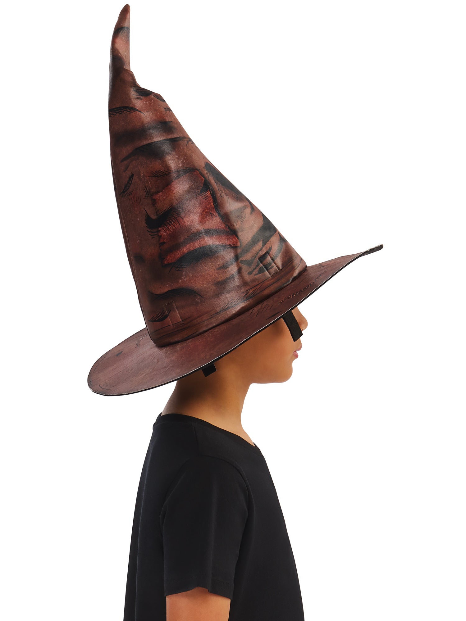 Harry Potter, Harry Potter, Multicoloured, Hats, , Other