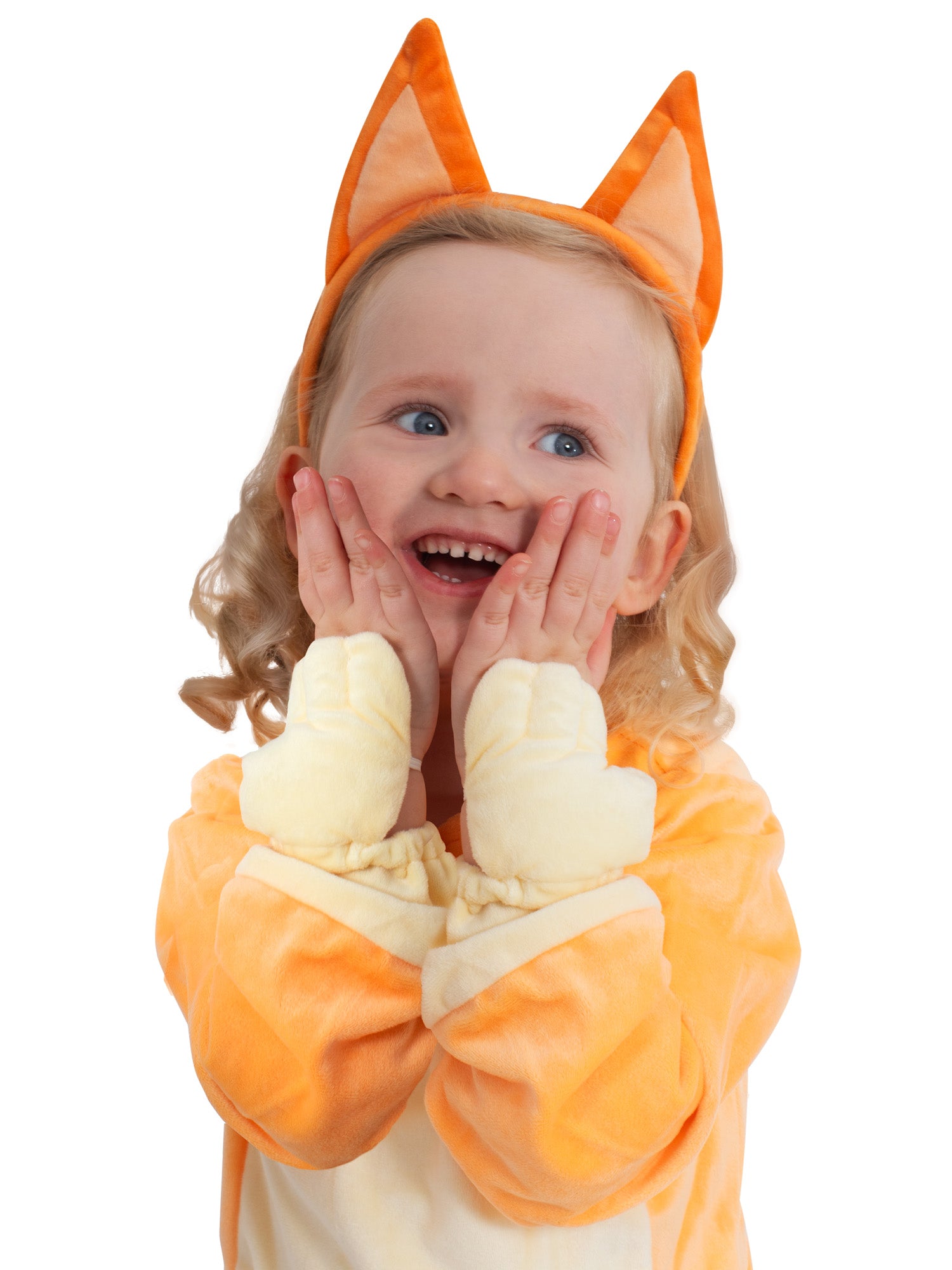 Bingo, Bluey, Accessories, One Size, Other