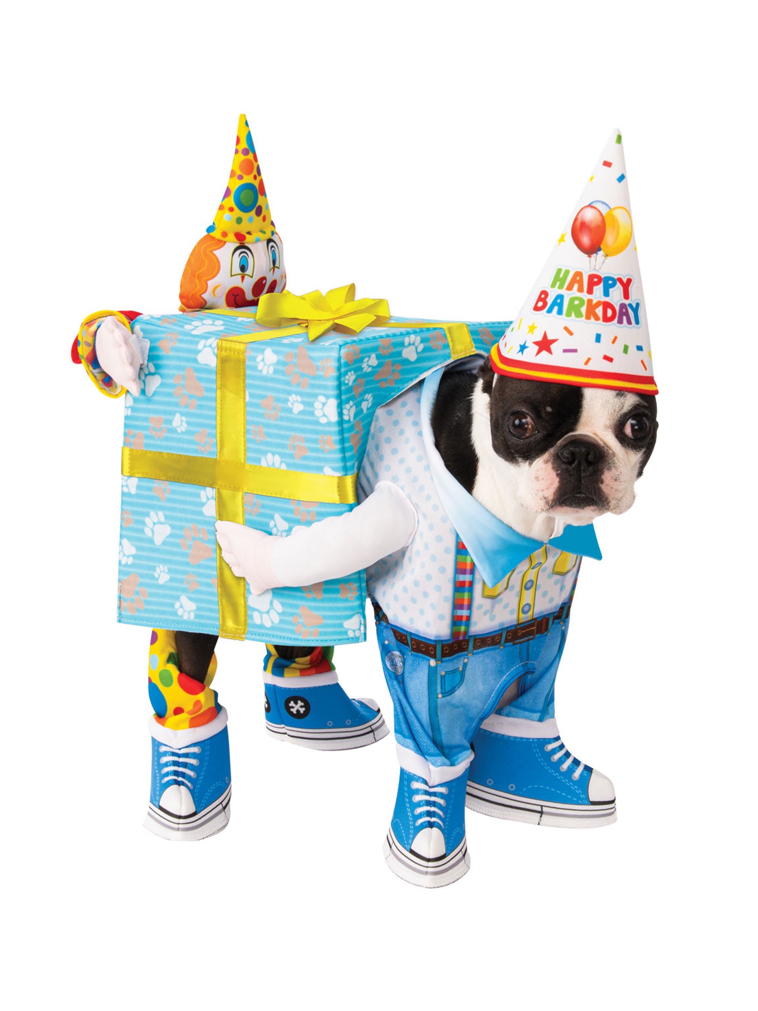 Birthday Present, Multi, Forum, Pet Costumes, Small, Front