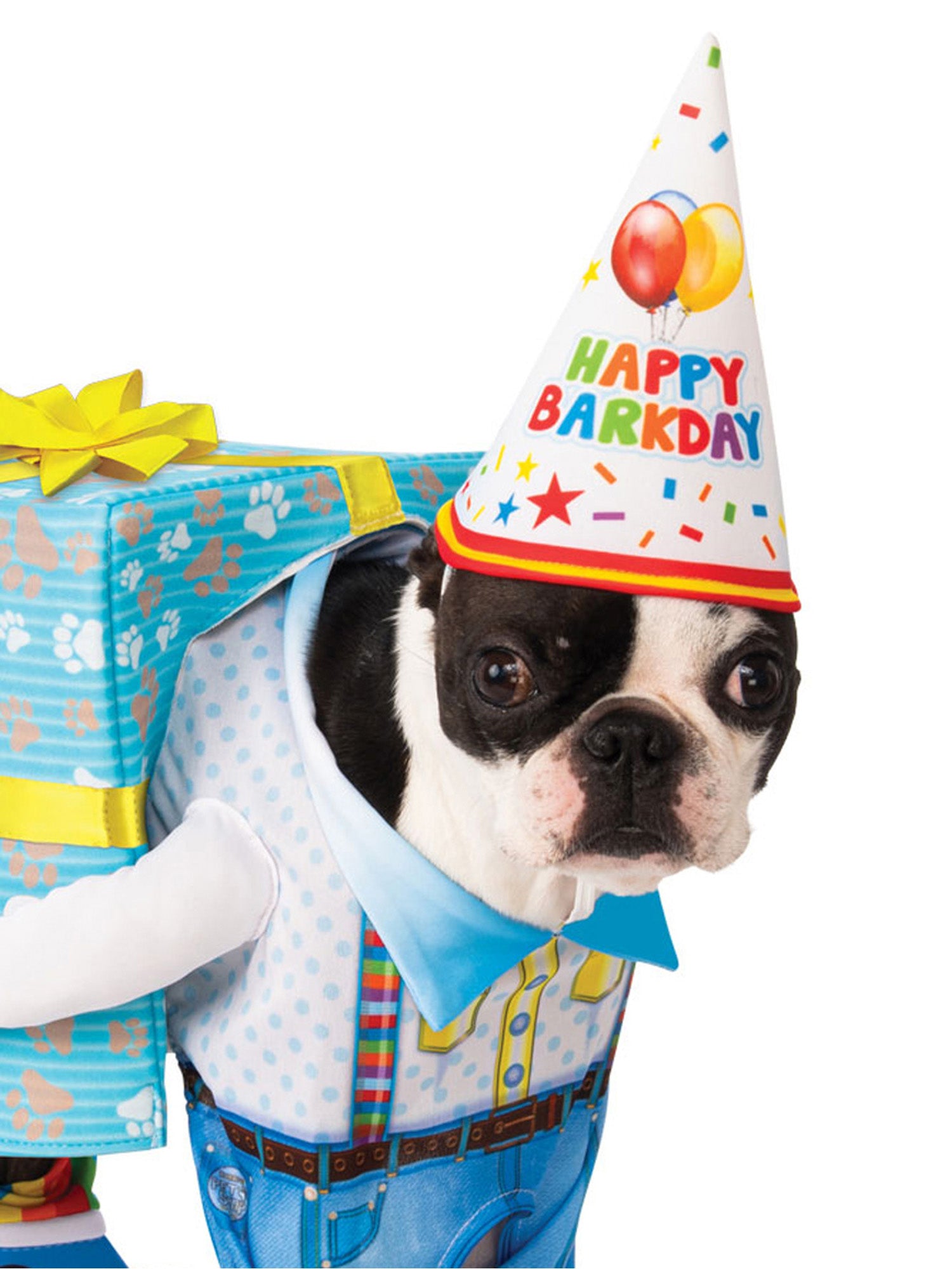 Birthday Present, Multi, Forum, Pet Costumes, Small, Back