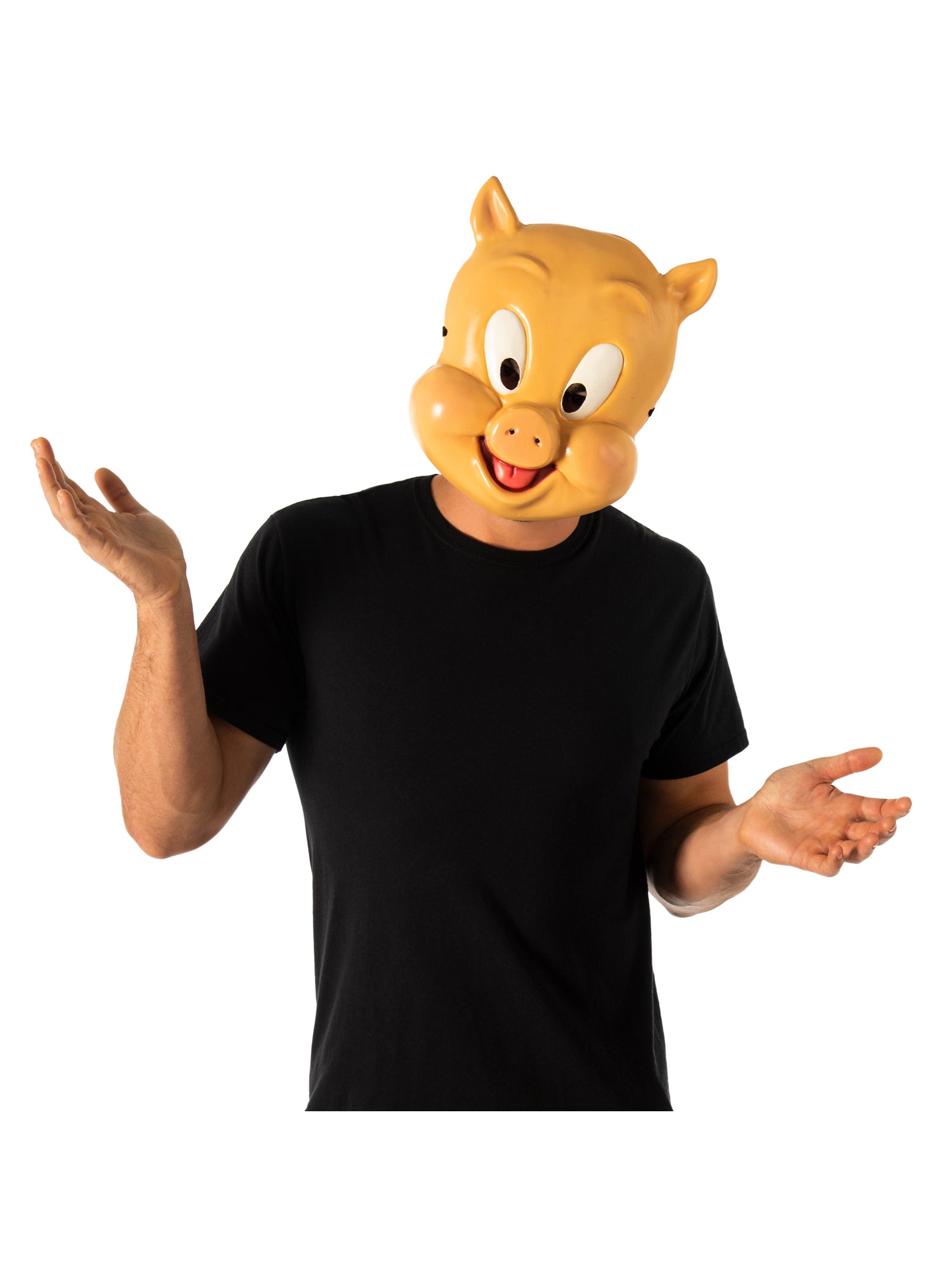 Porky Pig, Space Jam 2, Space Jam 2, Space Jam 2, Multi, WB Animation, Masks, One Size, Front