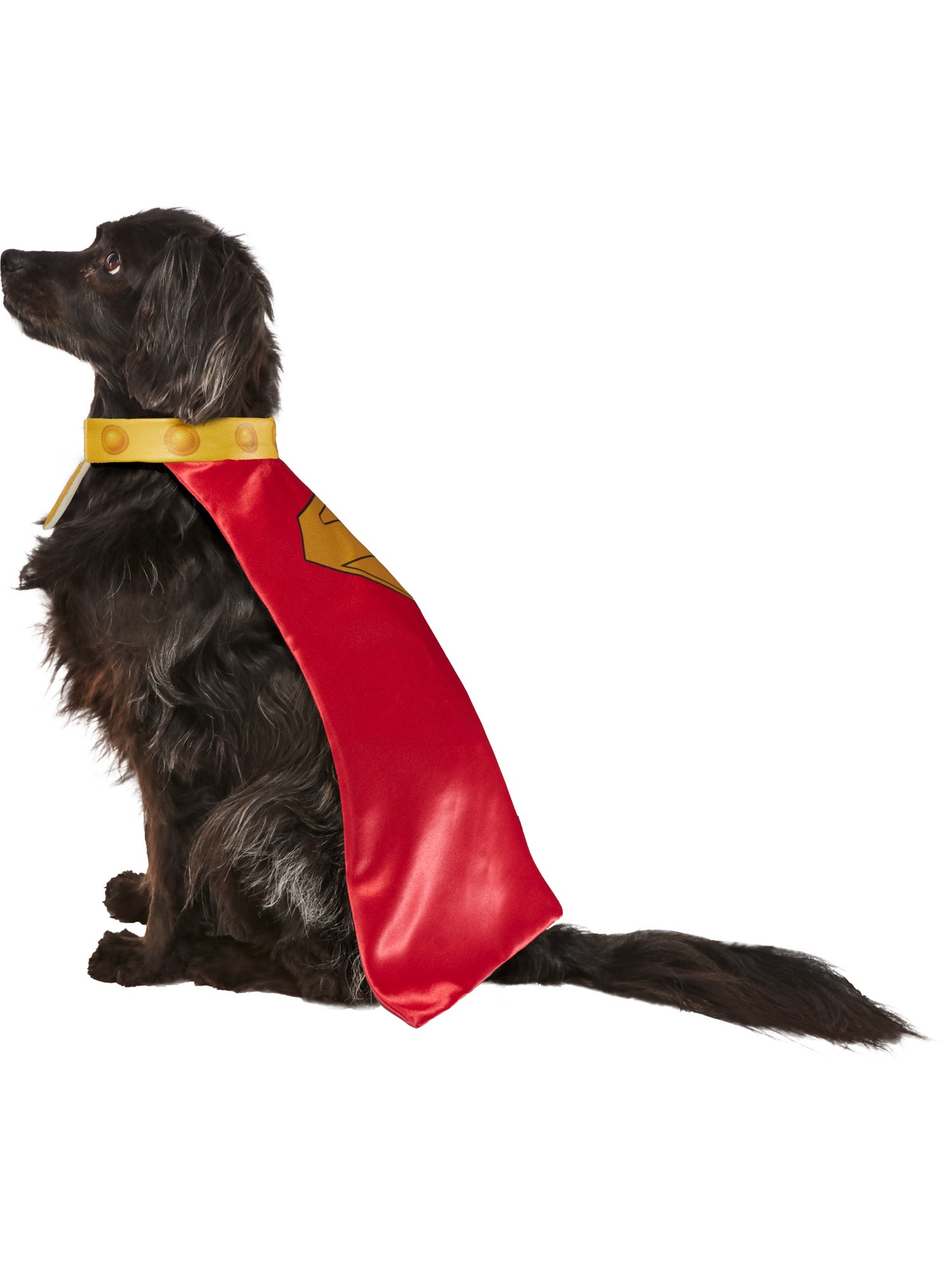 Krypto, Superman Movie, Pet Costumes, , Other