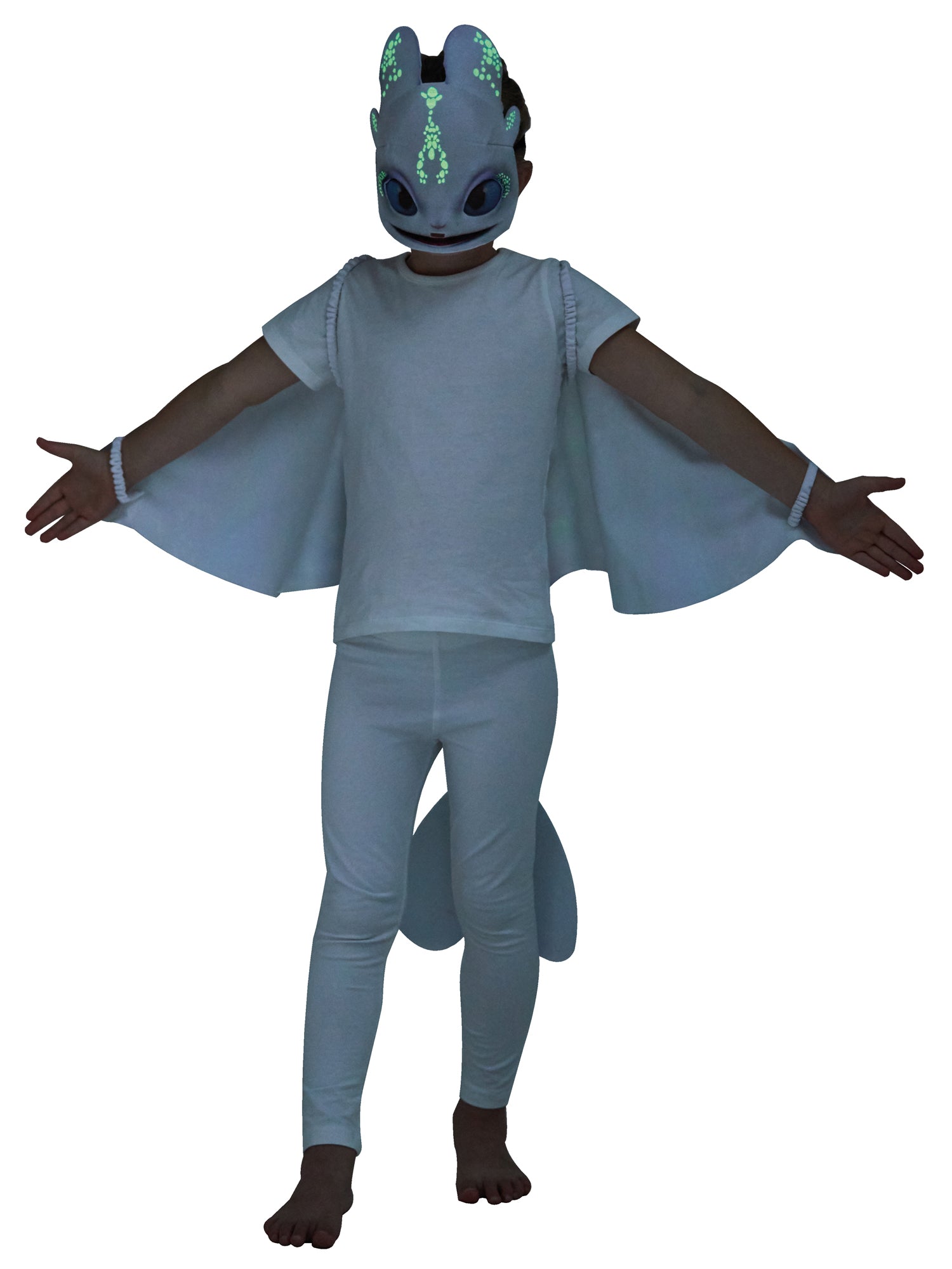 Light Fury, How To Train Your Dragon: The Hidden World, How To Train Your Dragon: The Hidden World, Multi, Universal - HTTYD, Accessories, One Size, Back