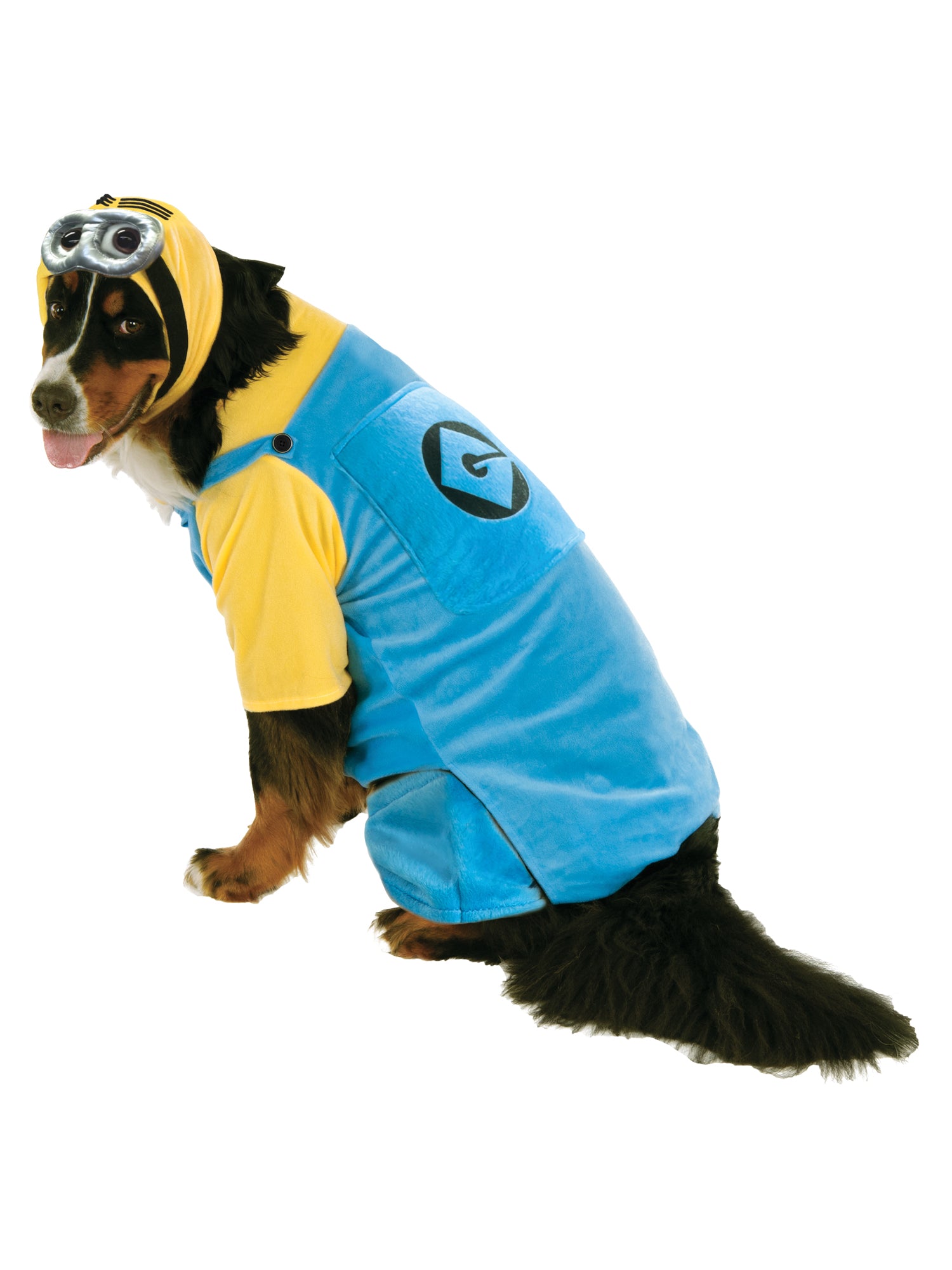 Minion, Multi, Despicable Me, Pet Costume, XXL, Front
