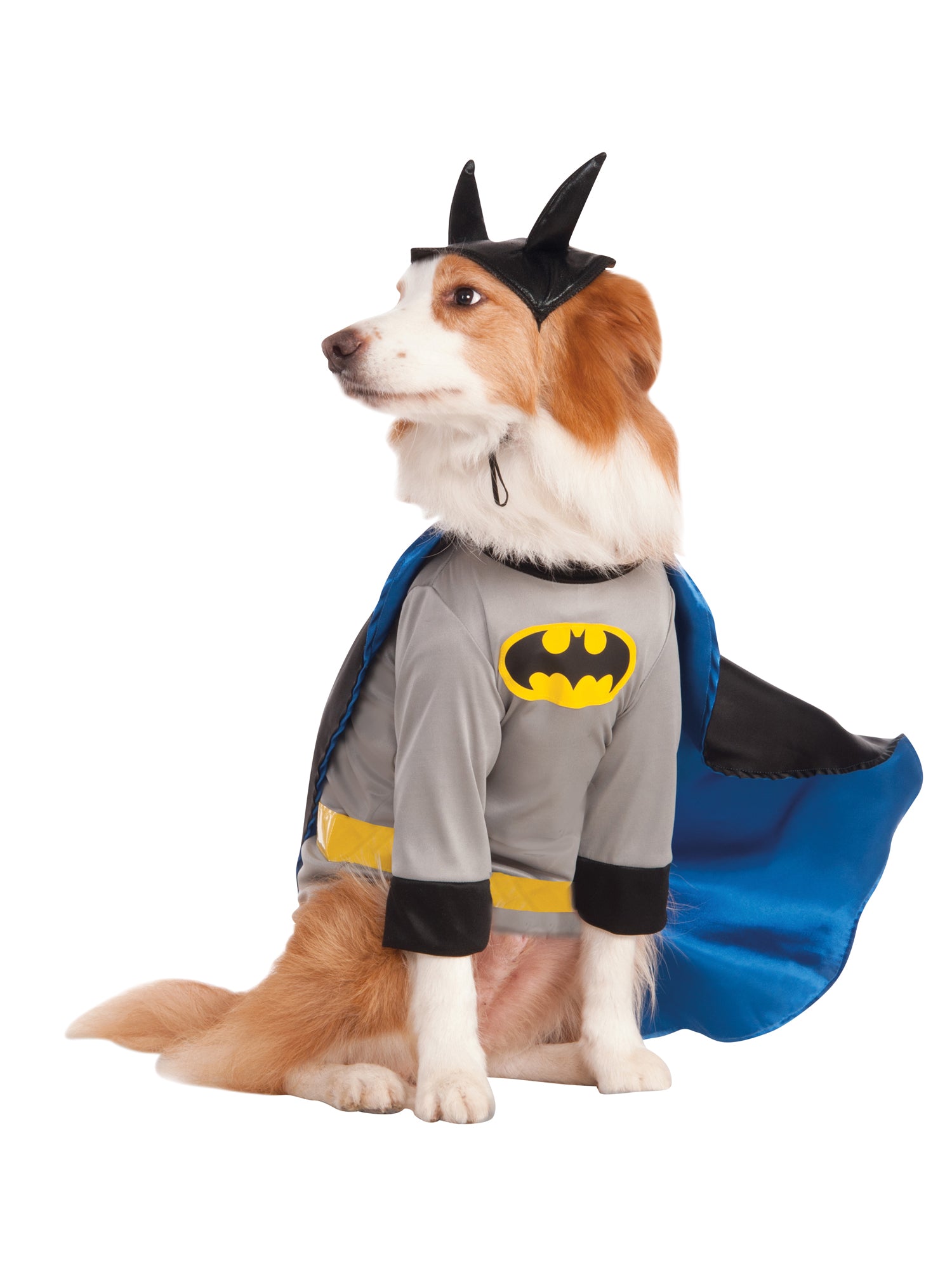 Batman, Multi, WB DC Comics, Pet Costumes, XXL, Front