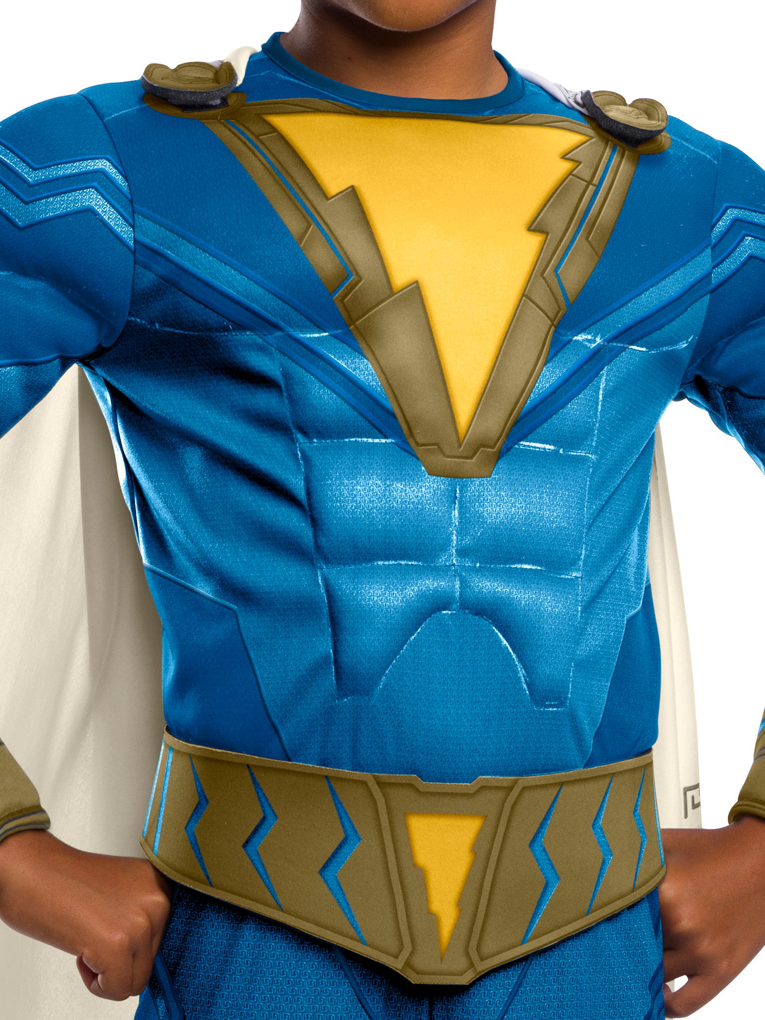 Freddy Fazbear, Shazam, Multi, WB DC Comics, Kids Costumes, Small, Back