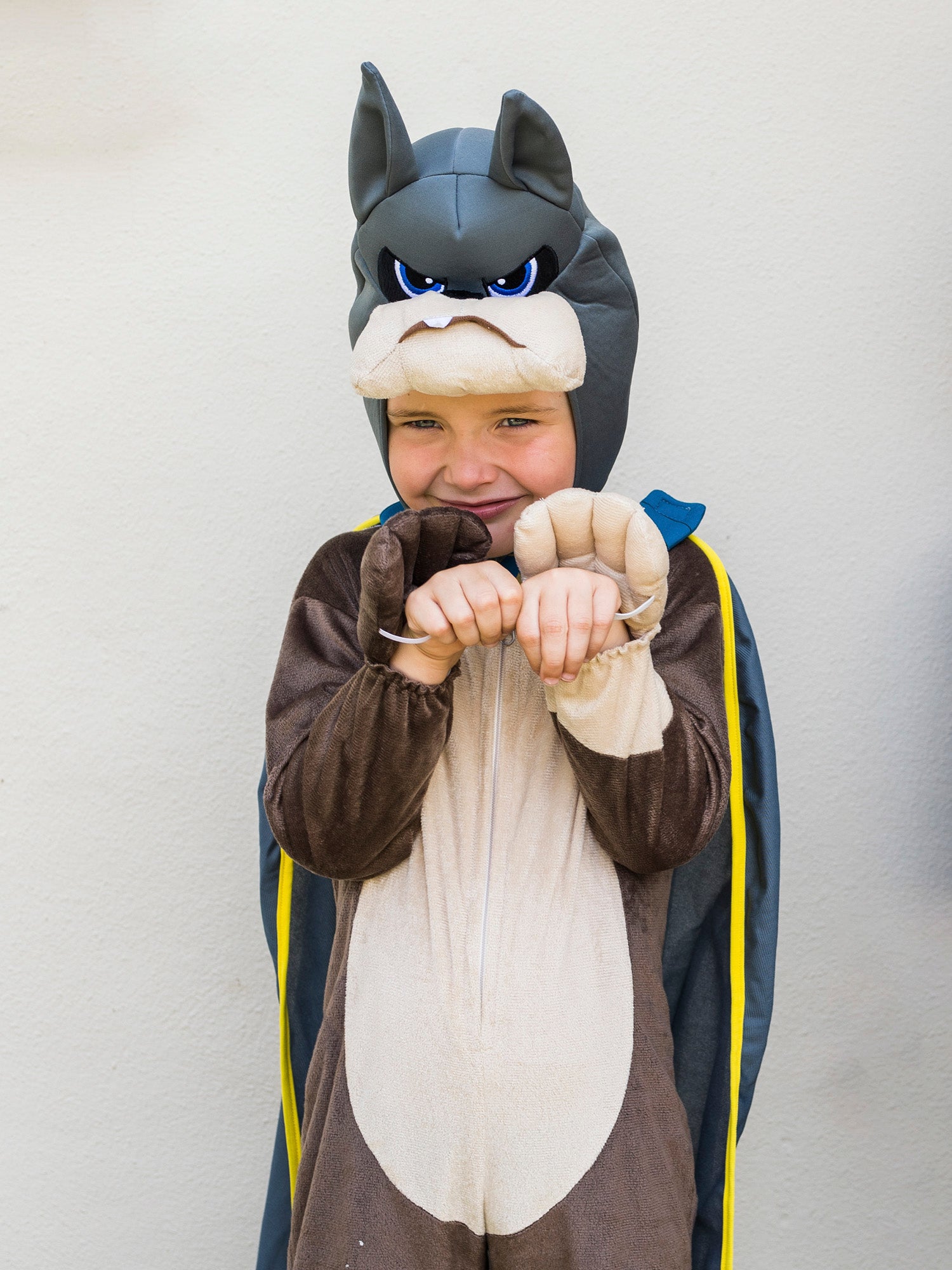 Ace, DC League of Super-Pets, DC League of Super-Pets, Brown, WB DC Comics, Kids Costumes, 2T3T, Back