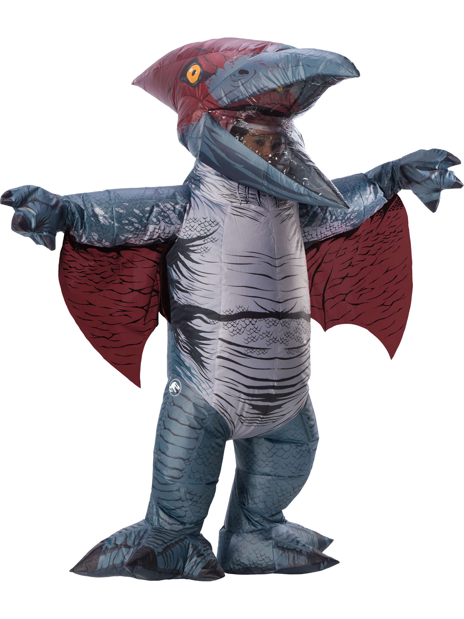 Pteranodon, Multi, Universal - Jurassic, Adult Costume, One Size, Front