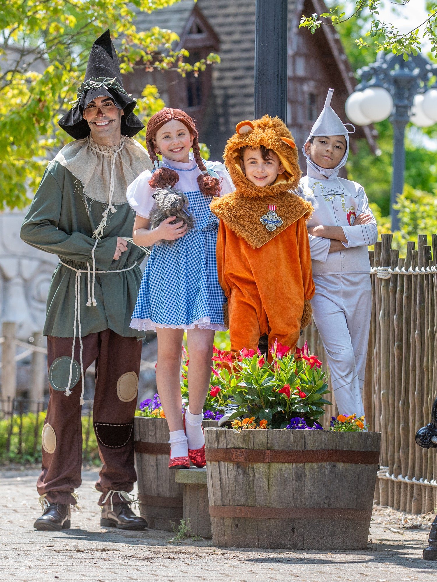 Tin Man, Multi, WB Classic, Kids Costumes, Large, Other