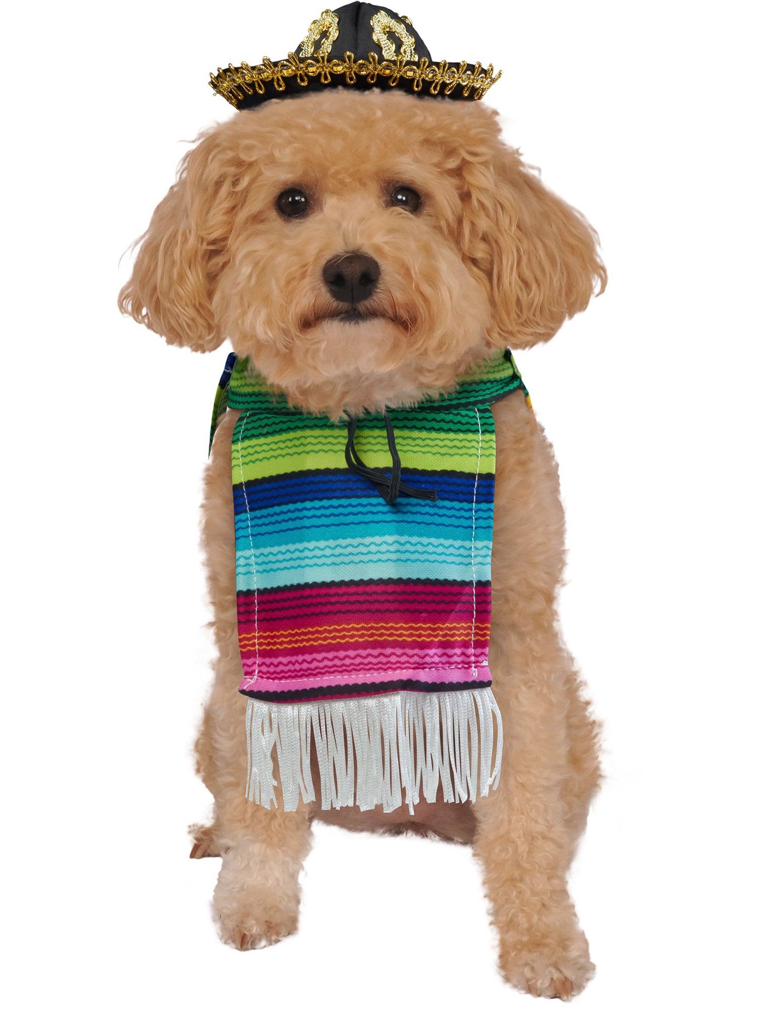 Mexican, Multi, Forum, Pet Costumes, Extra Large, Front