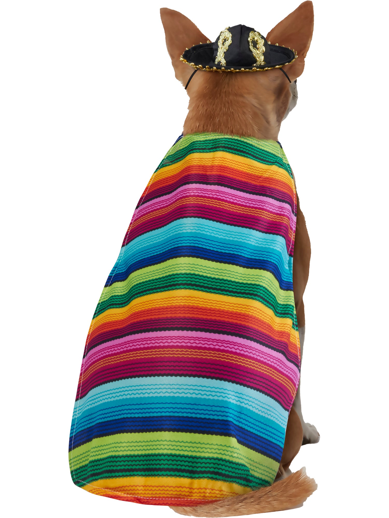 Mexican, Multi, Forum, Pet Costumes, Extra Large, Back
