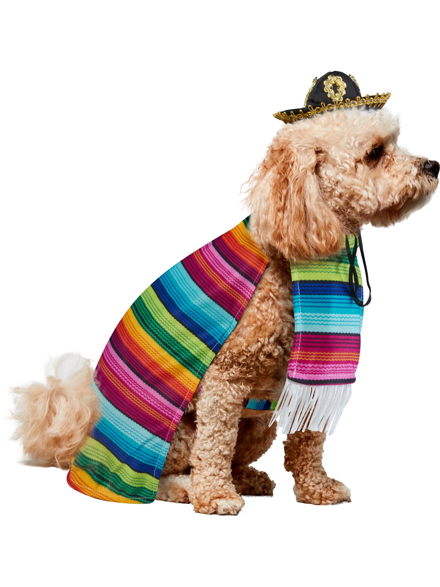 Mexican, Multi, Forum, Pet Costumes, Extra Large, Side