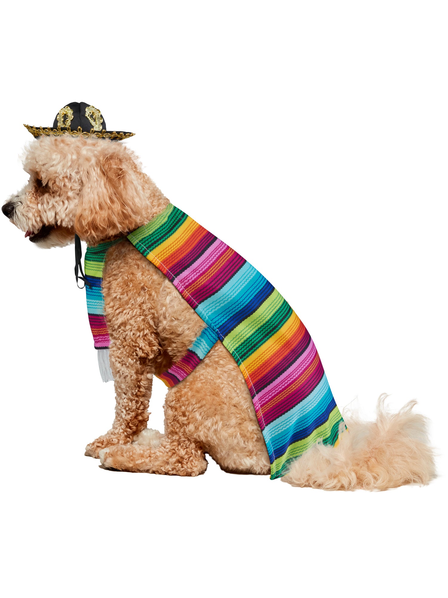 Mexican, Multi, Forum, Pet Costumes, Extra Large, Other