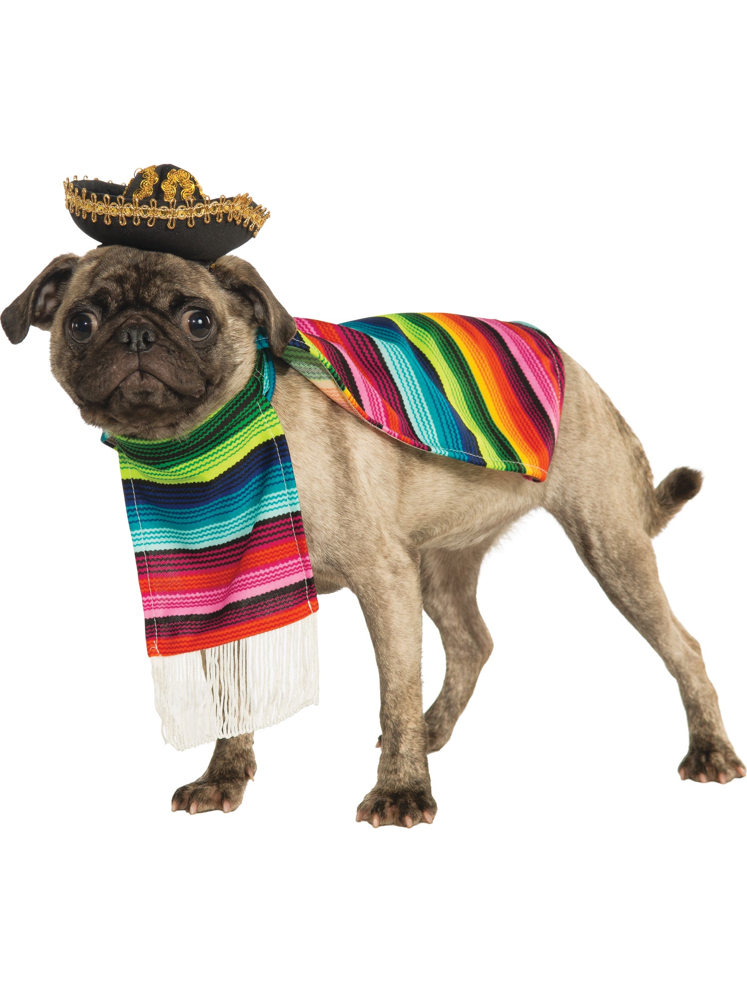 Mexican, Multi, Forum, Pet Costumes, Extra Large, Side