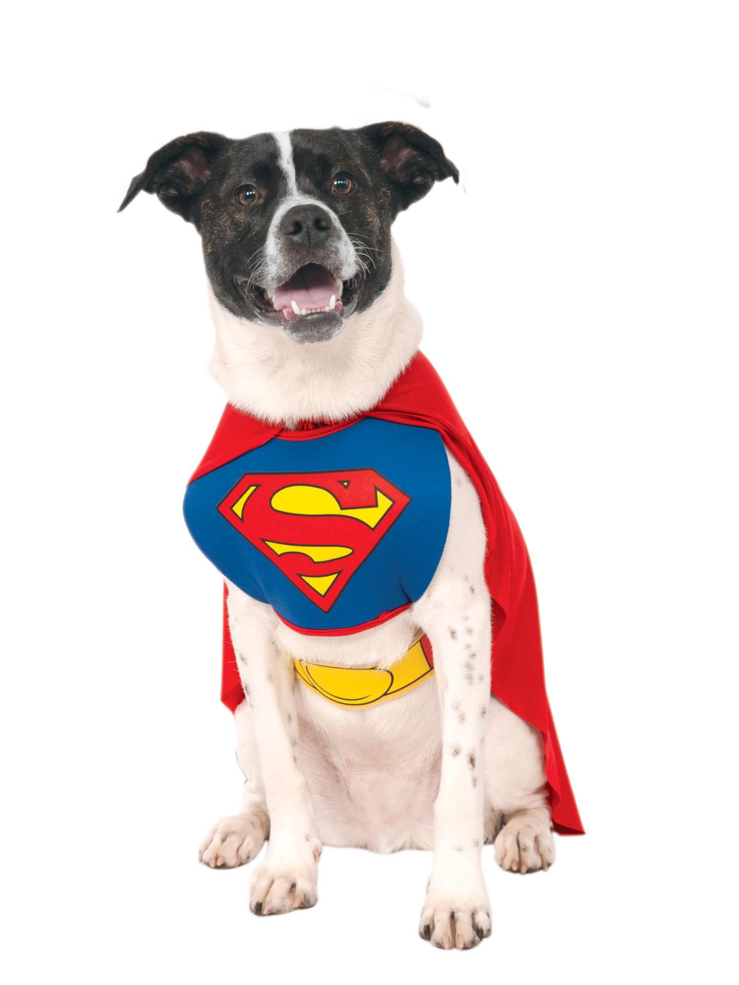 Superman, Multi, WB DC Comics, Pet Costumes, Large, Front