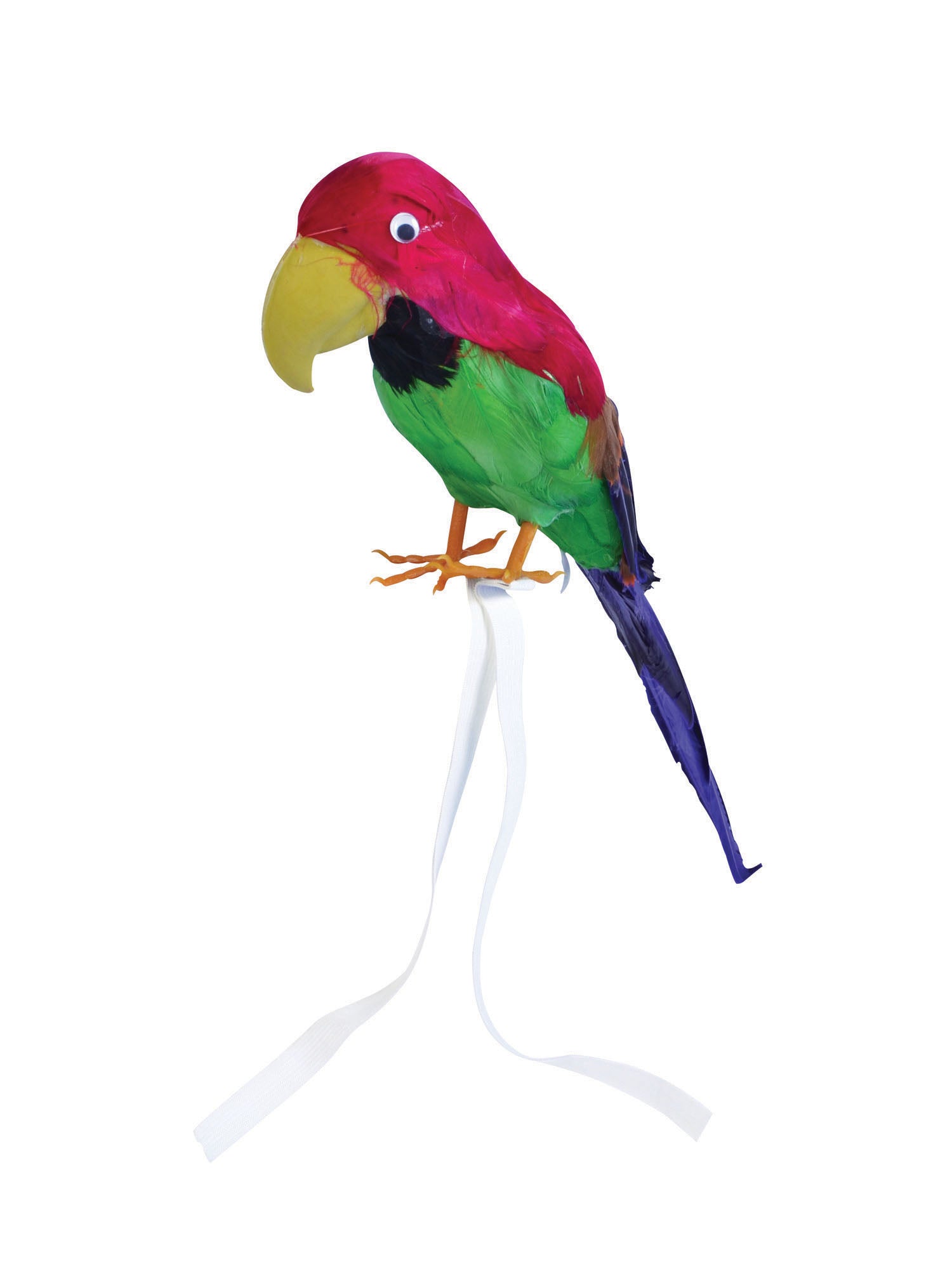 Parrot, Multi, Forum, Accessories, One Size, Front