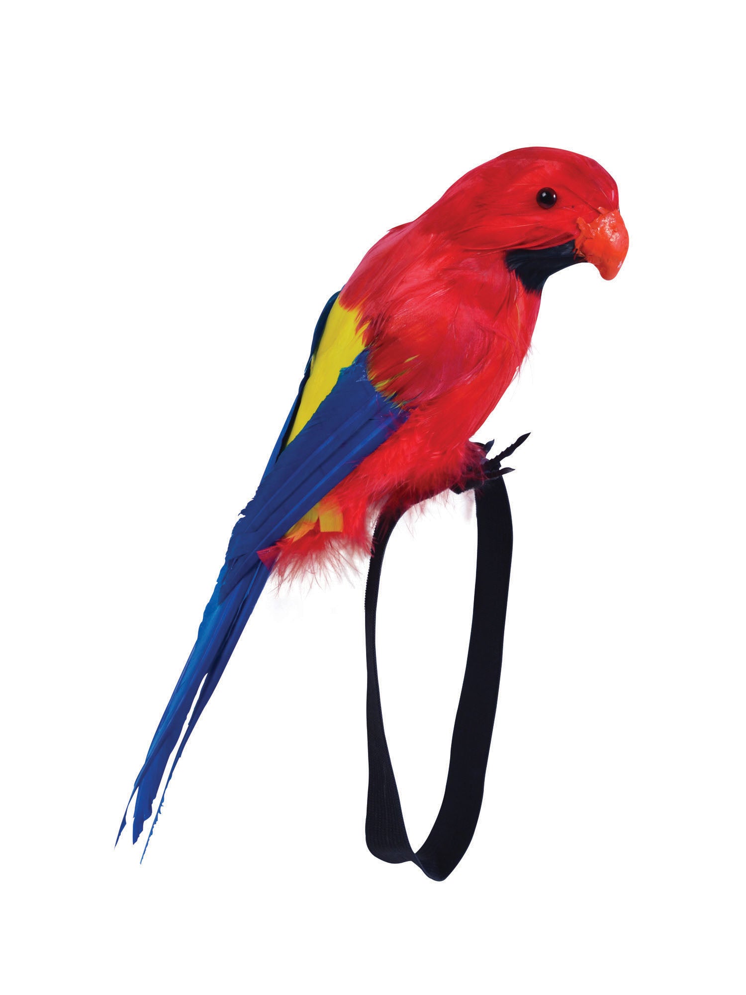 Parrot, Multi, Parrot, Accessories, One Size, Front