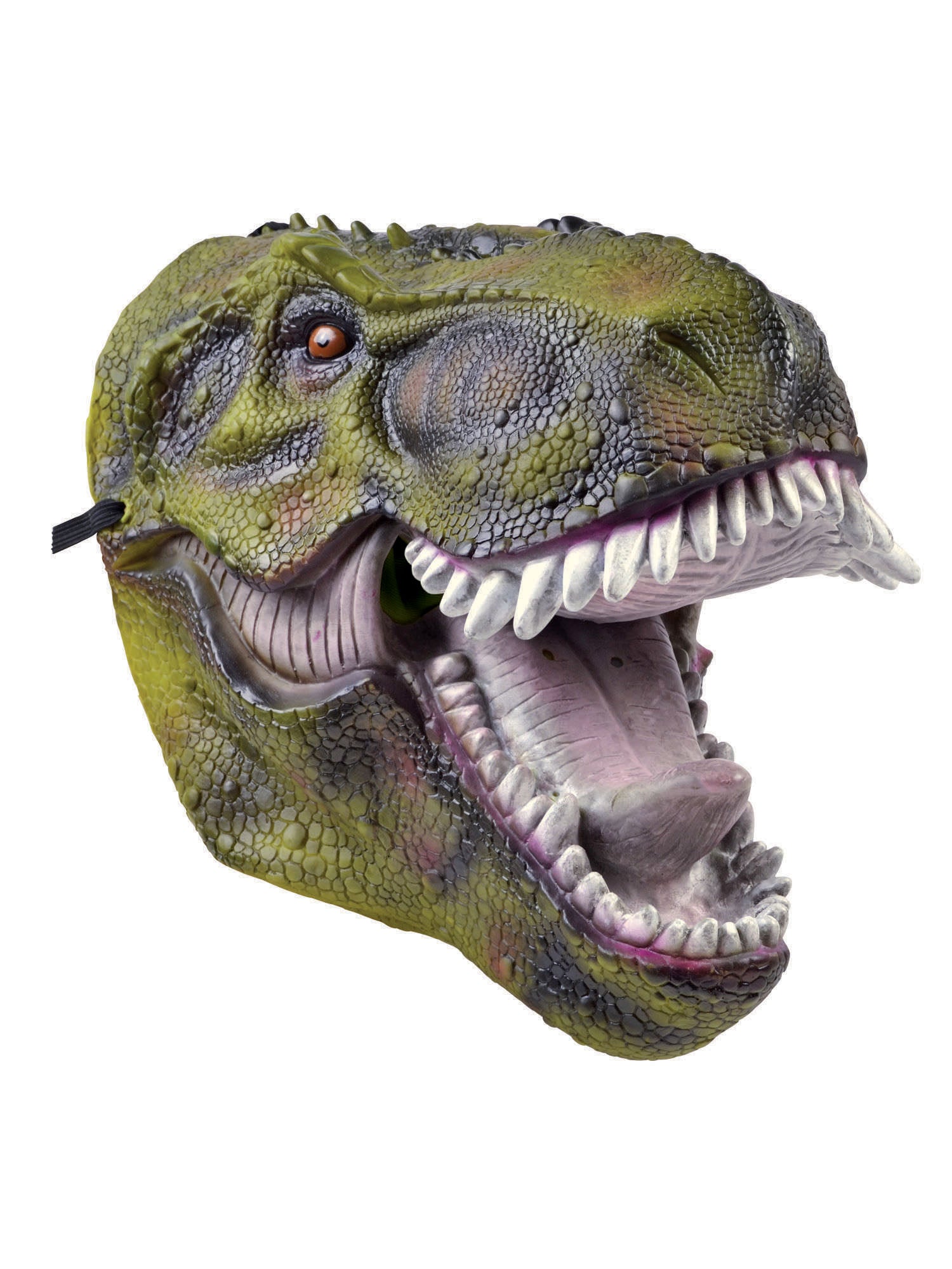 Dinosaur, Multi, Forum, Masks, One Size, Back