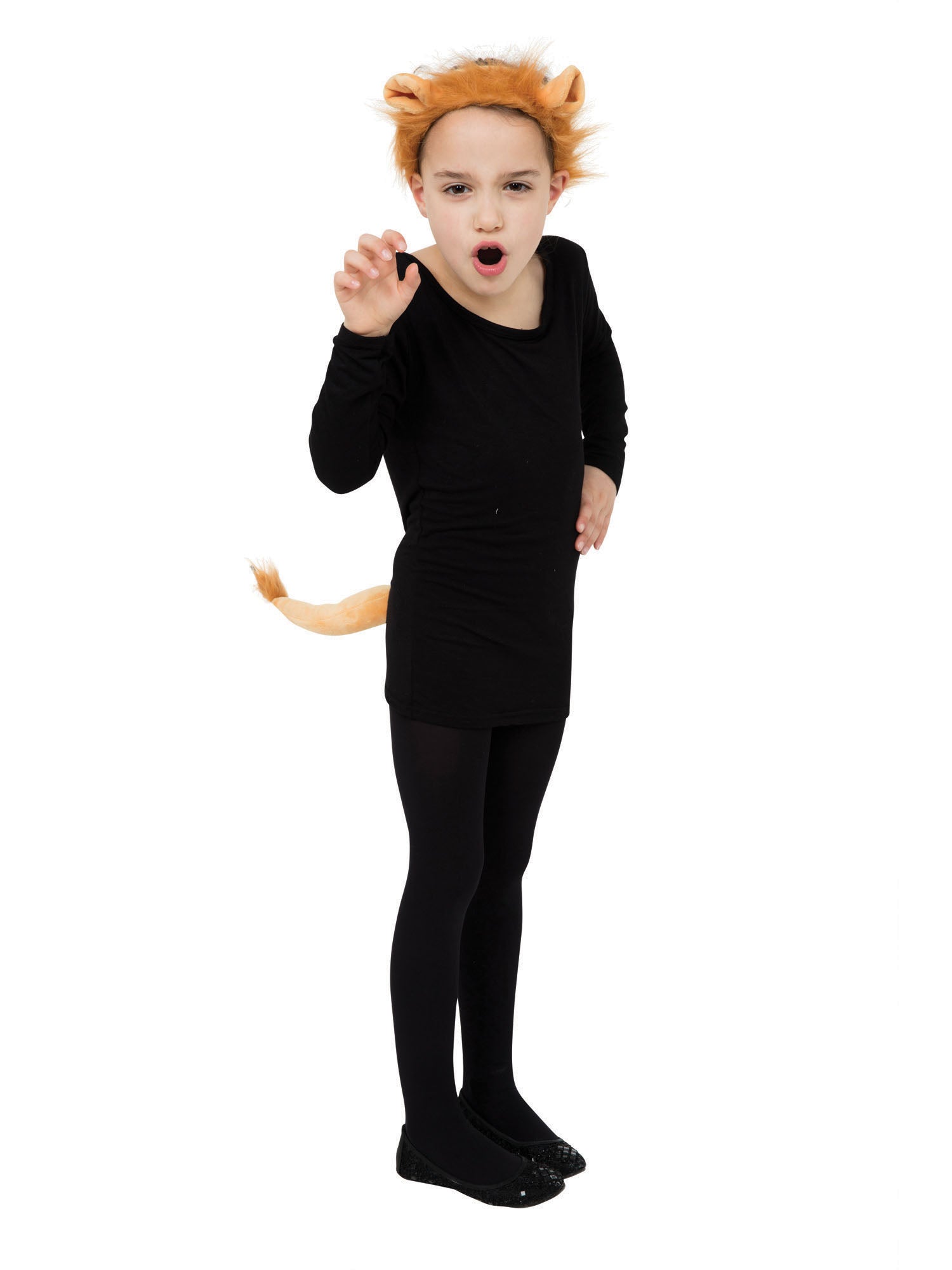 Lion, Multi, Forum, Disguise Set, One Size, Front