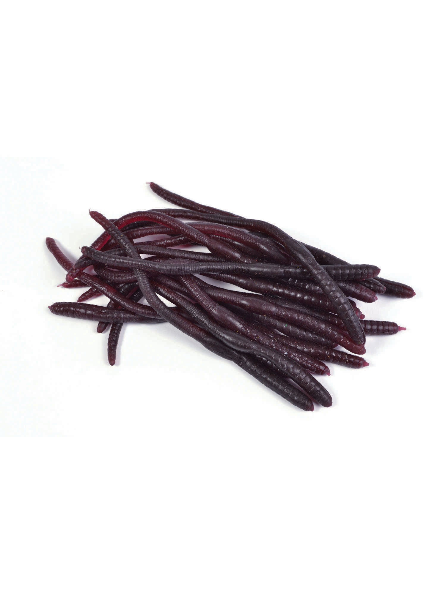 Halloween Prop, Multi, Forum, Joke, One Size, Front