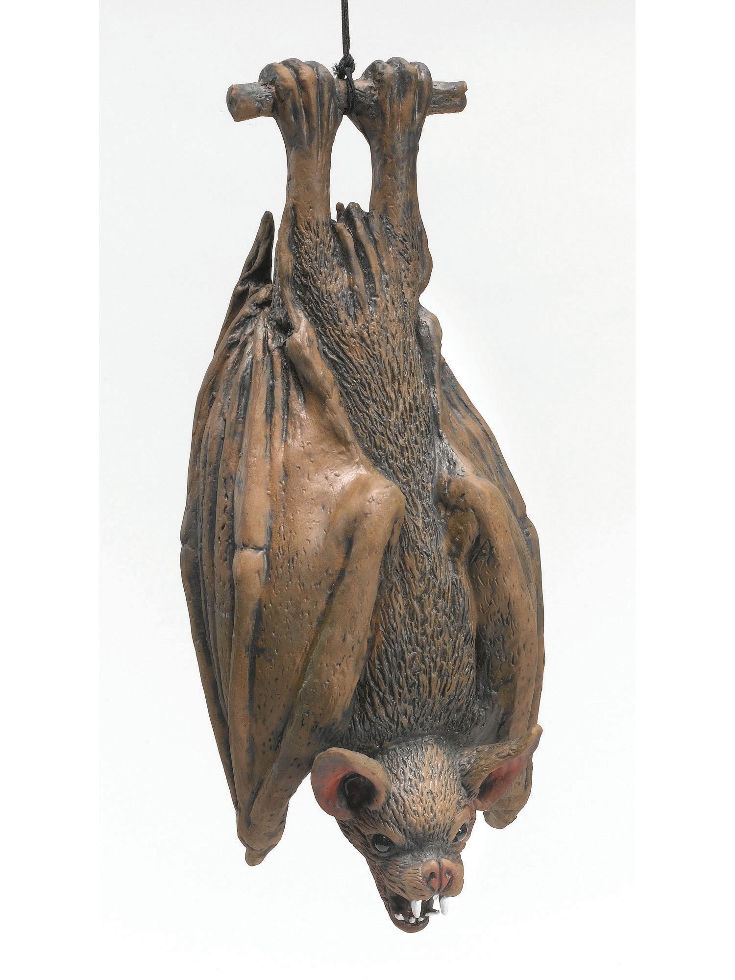 Halloween Prop, Multi, Forum, Accessories, One Size, Front