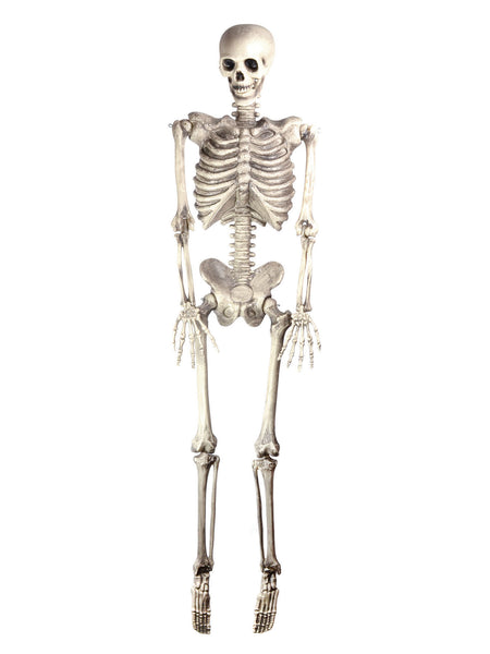 Skeleton Hanging Costume Accessory