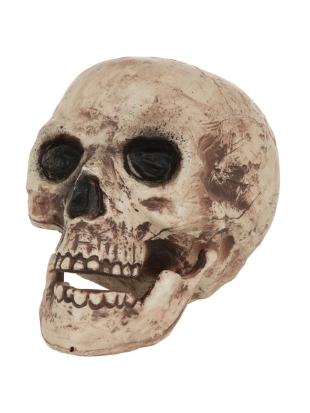 Skull Large Costume Accessory