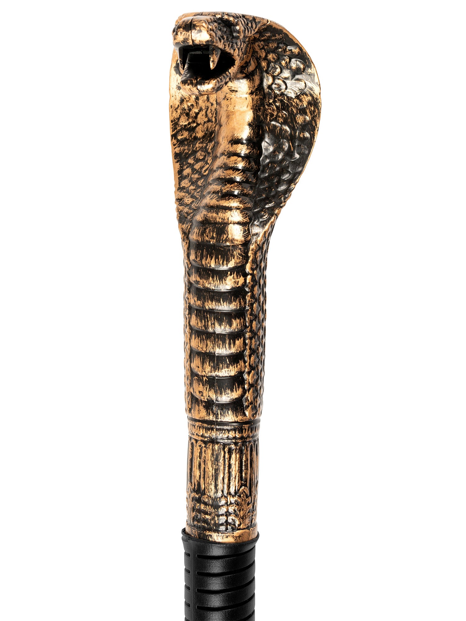 Egyptian, Multi, Generic, Accessories, , Side