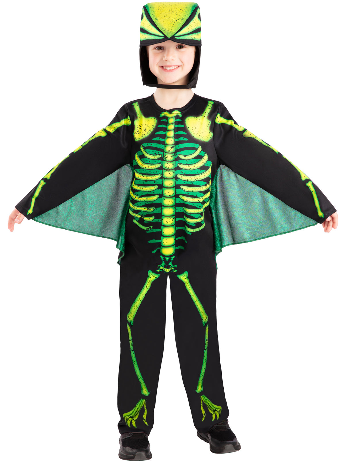 Dinosaur, Multicolored, , Front