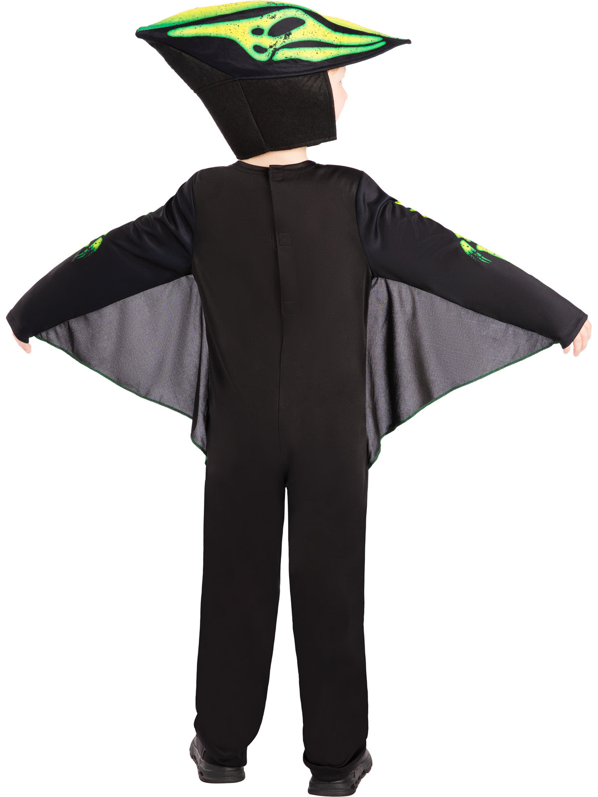 Dinosaur, Multicolored, , Back