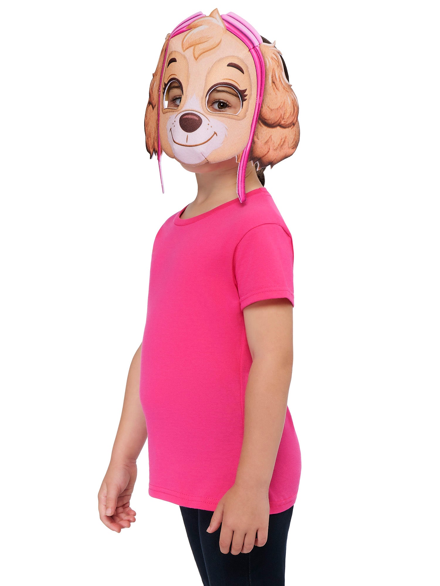 Skye, Paw Patrol, Multicoloured, Accessories, , Other