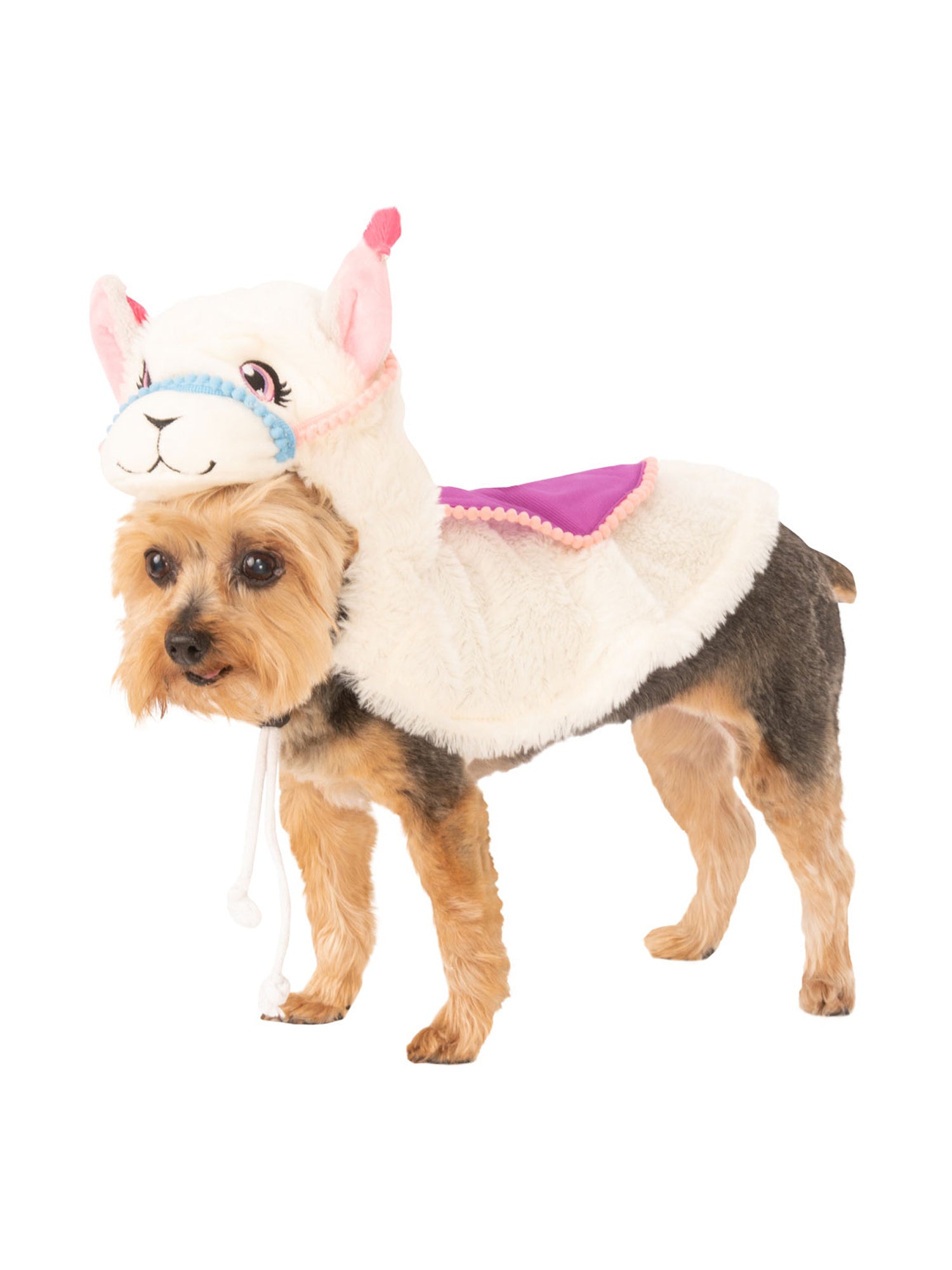 Llama, Multi, Generic, Pet Costume, One Size, Front