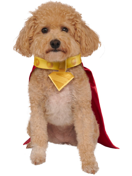 Krypto Pet Cape and Collar Pet Costume