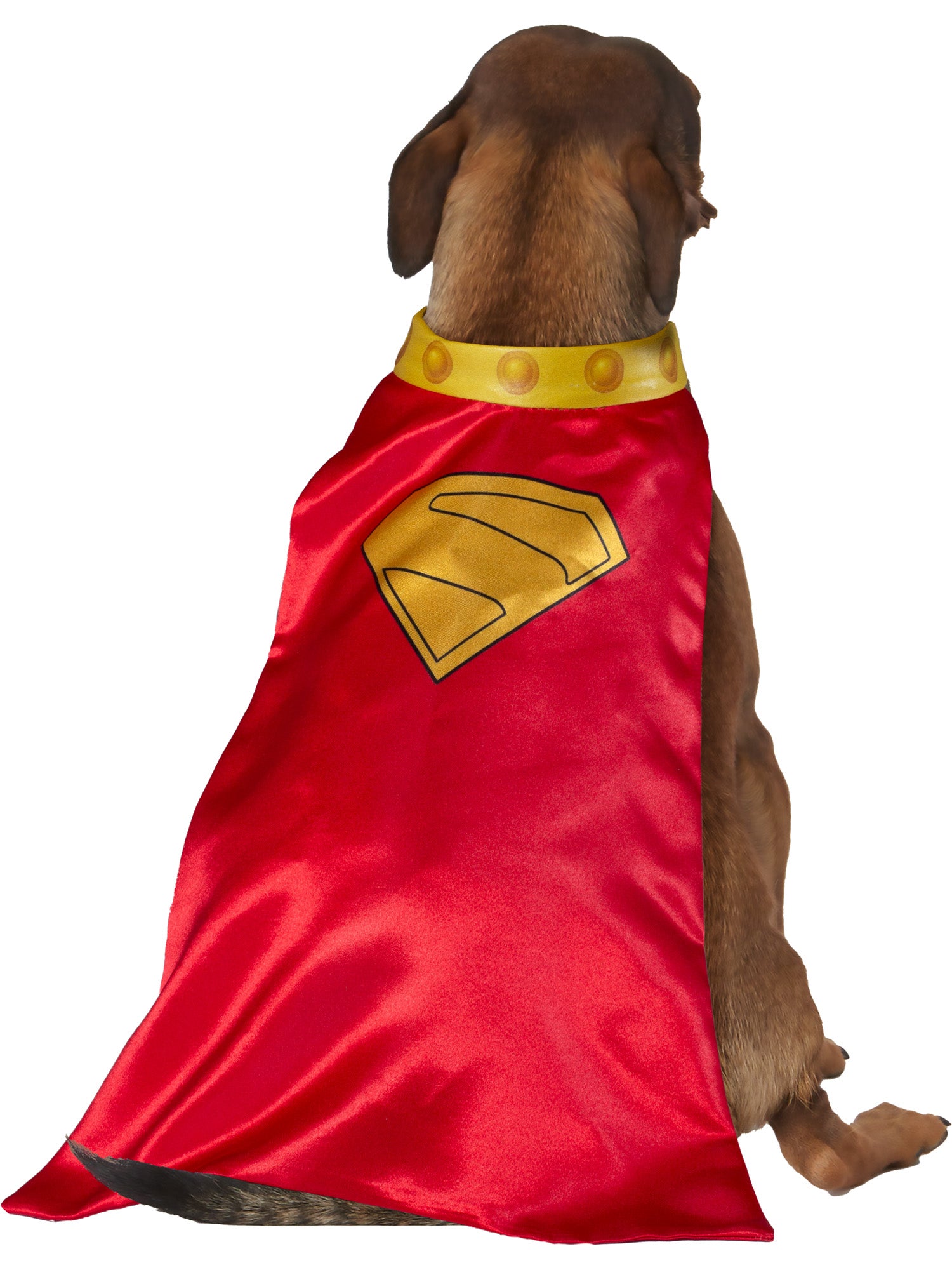 Krypto, Superman Movie, Pet Costumes, , Back