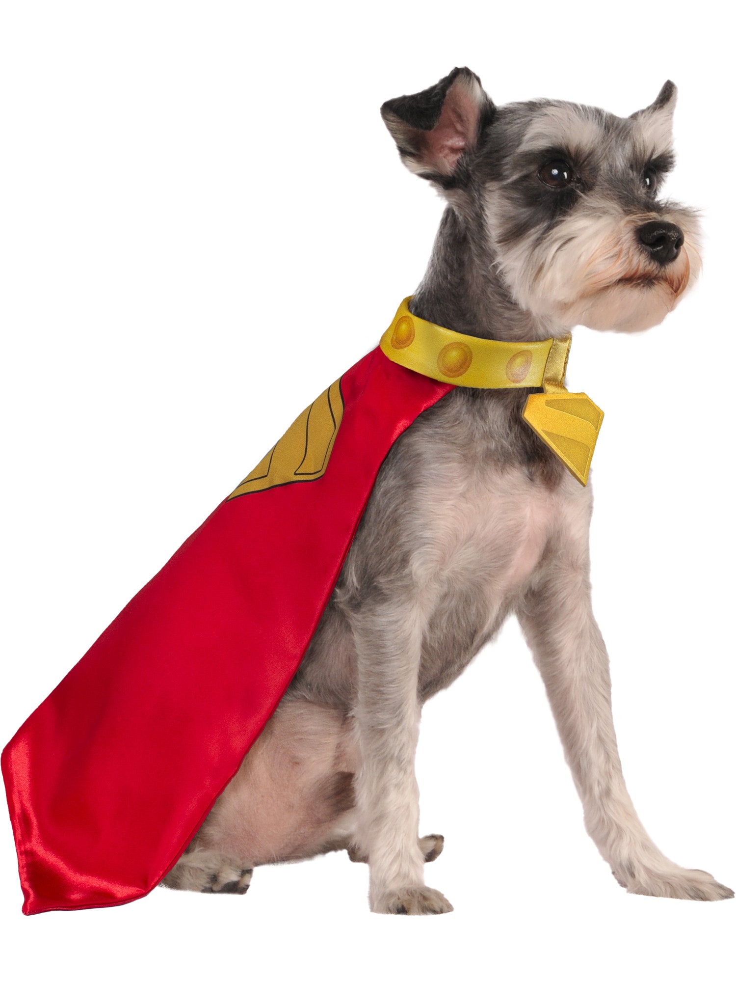Krypto, Superman Movie, Pet Costumes, , Side