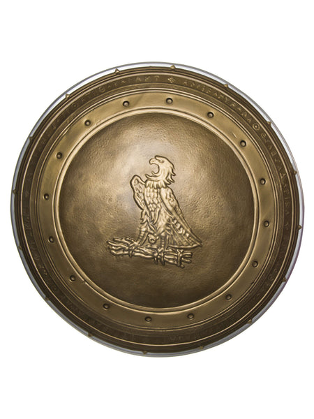 Wonder Woman Shield From Batman vs Superman