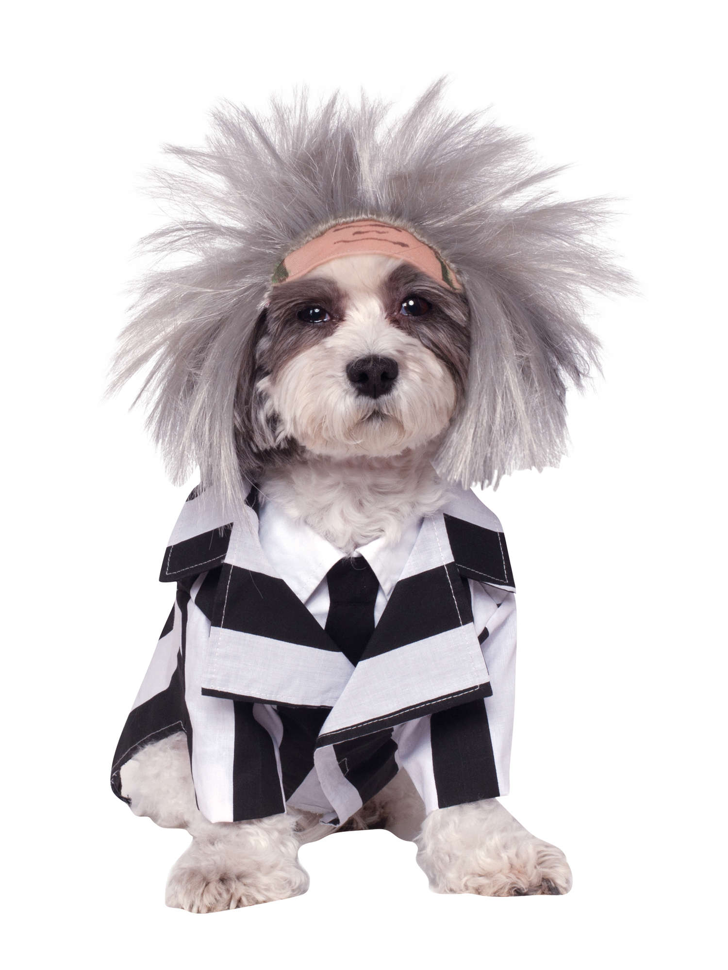 Beetlejuice, Multi, Beetlejuice, Pet Costume, Large, Front