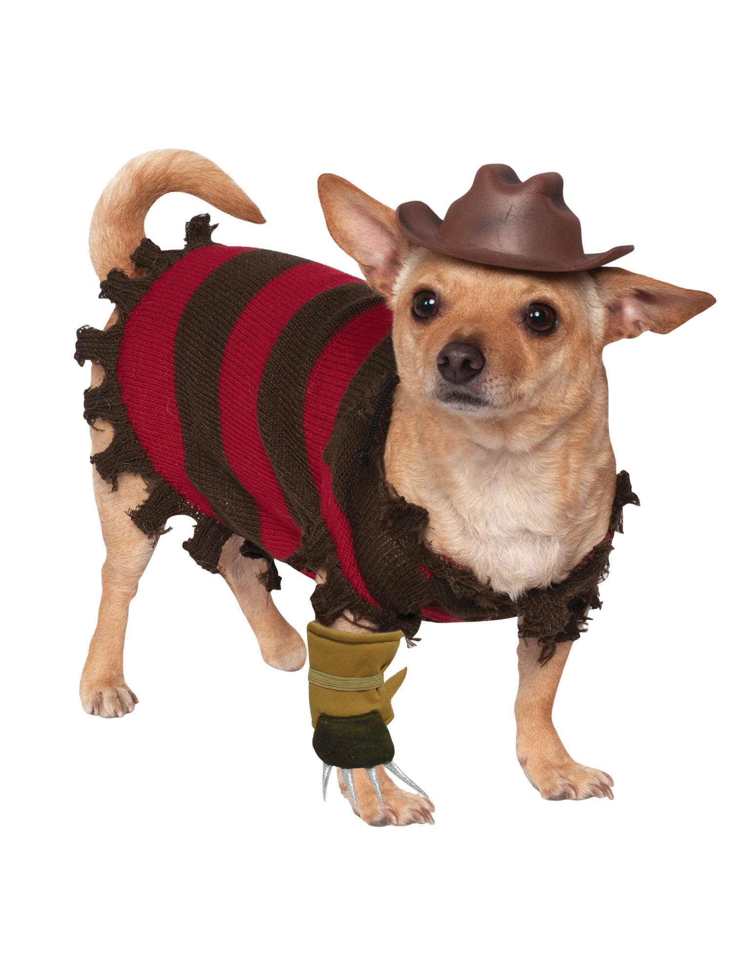 Freddy Krueger, Multi, Nightmare On Elm Street, Pet Costume, Large, Front