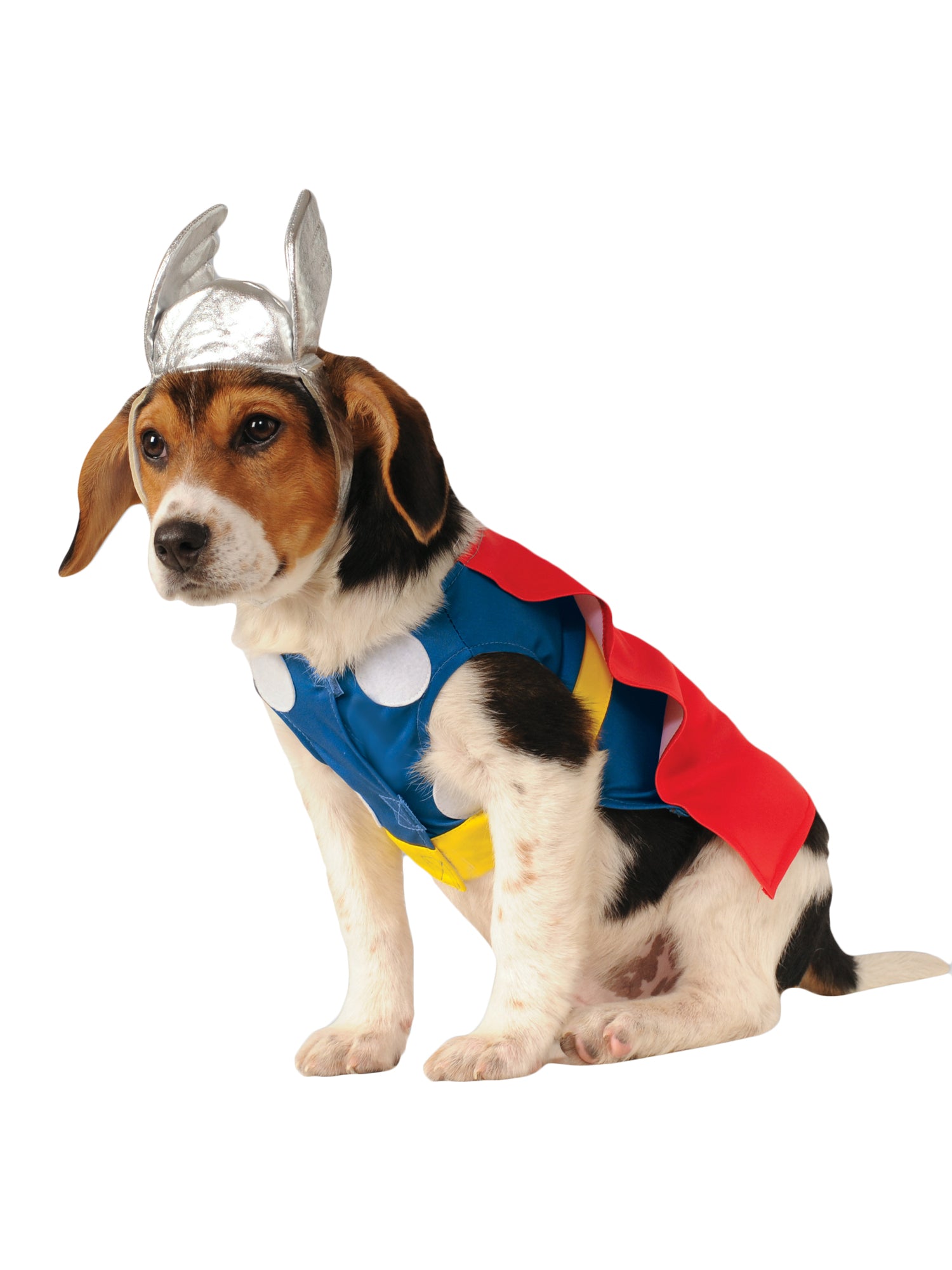 Thor, Avengers, Multi, Marvel, Pet Costume, Medium, Front