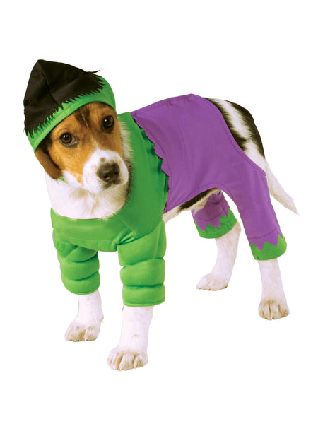 Muscle Chest Incredible Hulk Pet Costume From Marvel