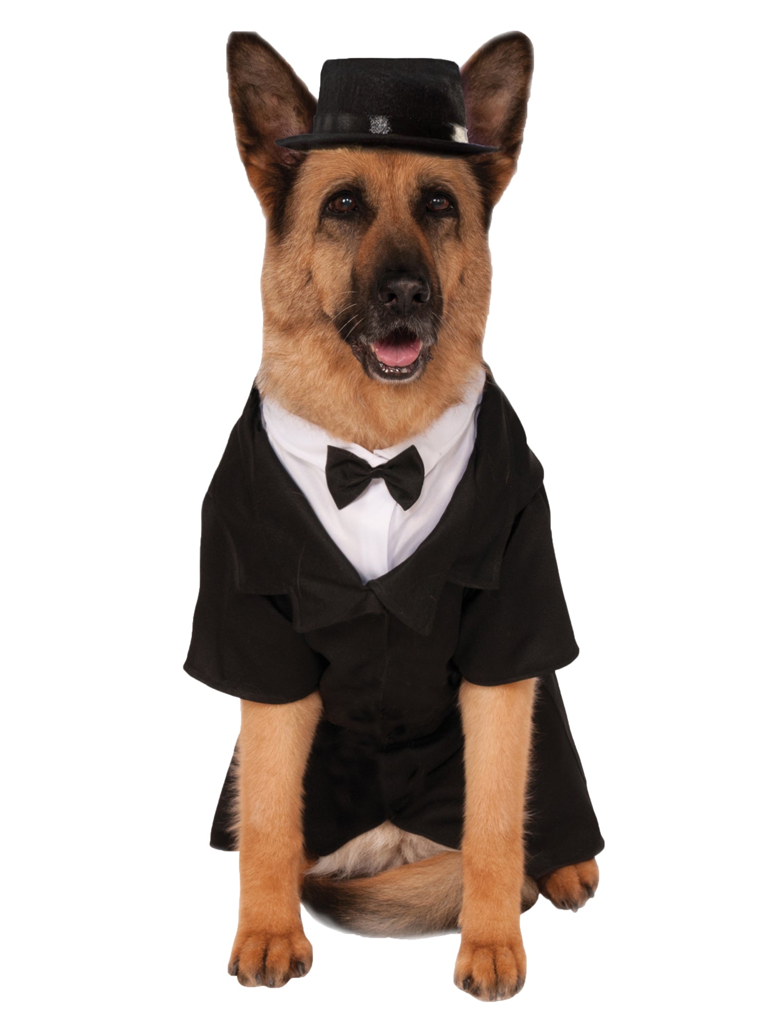 Groom, Multi, Generic, Pet Costume, 3XL, Front