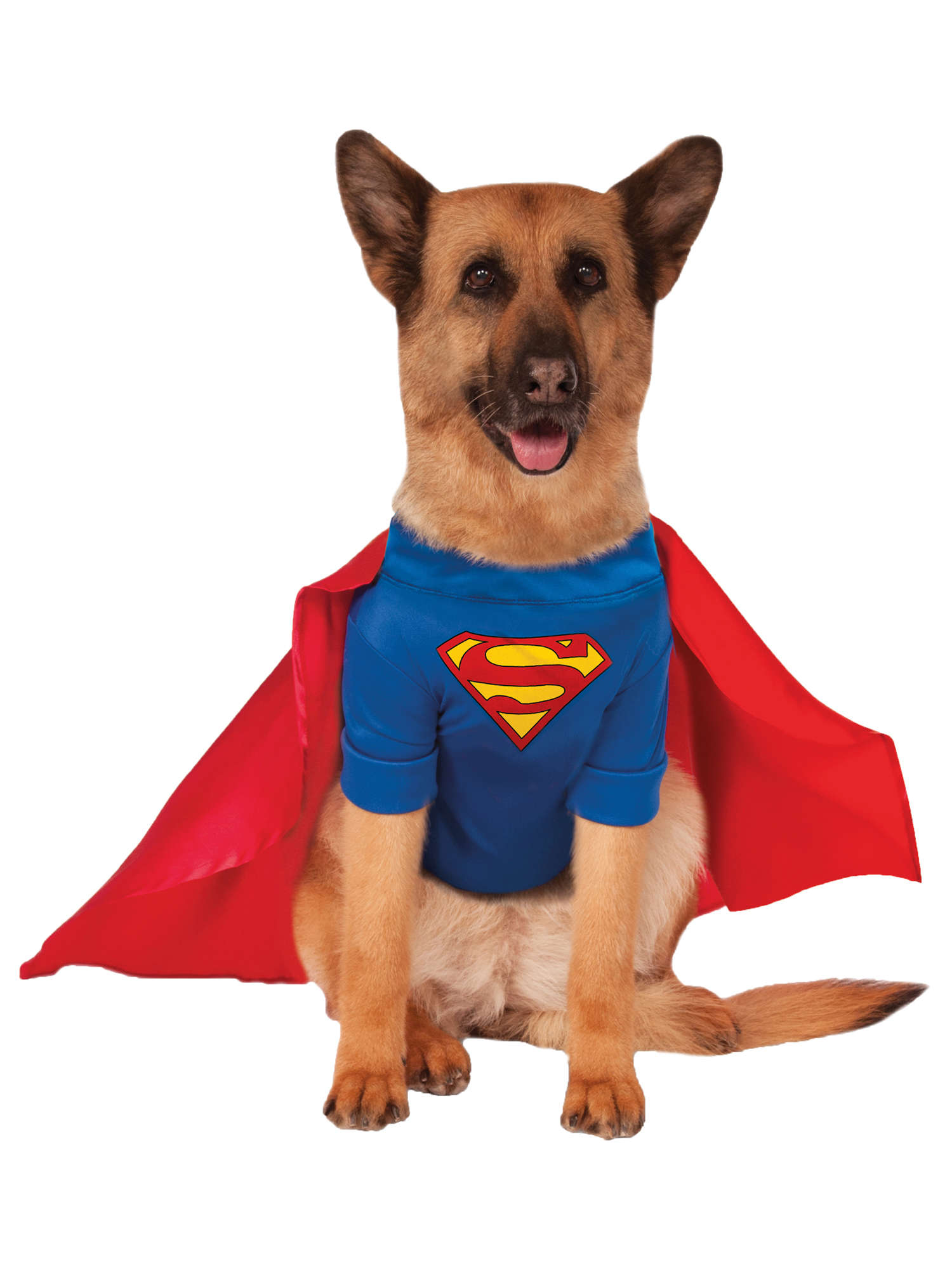 Superman, Multi, WB DC Comics, Pet Costumes, XXXL, Front