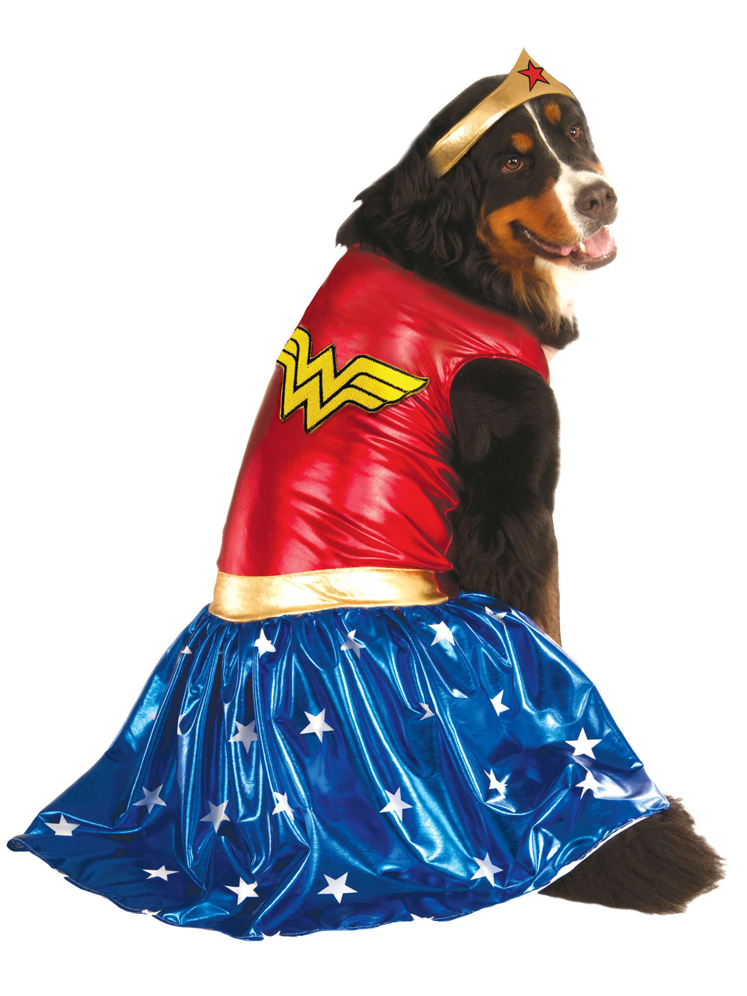 Wonder Woman, Multi, DC, Pet Costume, XXXL, Front