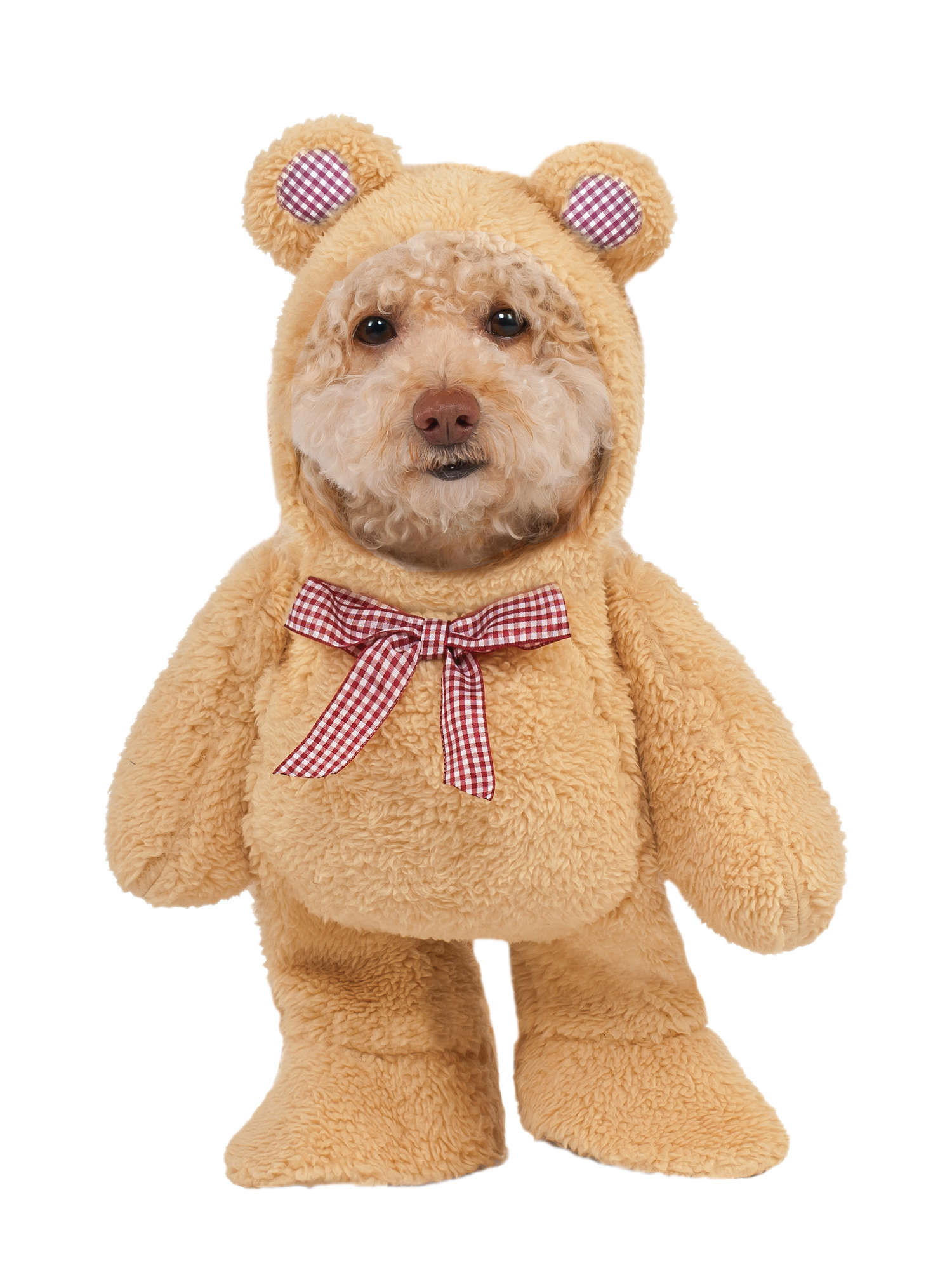 Teddy Bear, Multi, Generic, Pet Costume, Small, Front