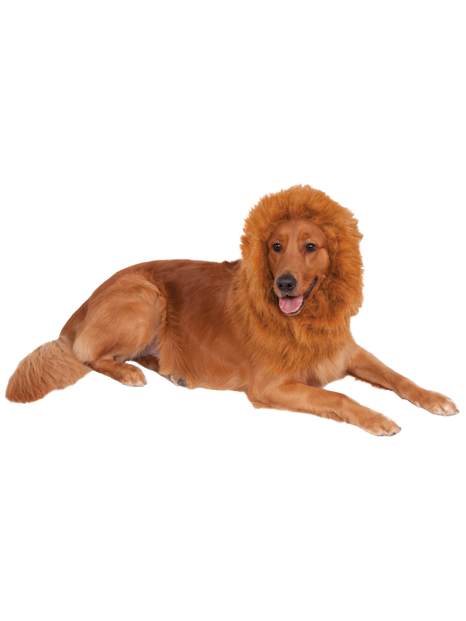 Lion, Multi, Generic, Pet Costume, One Size, Front